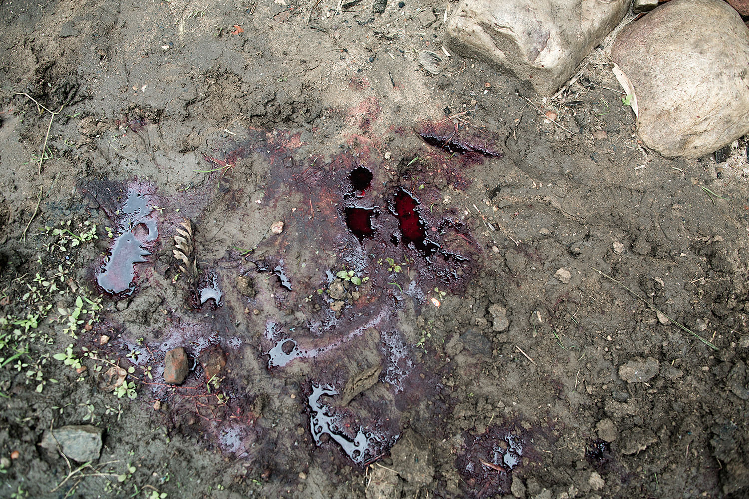 Das Morden hat begonnen