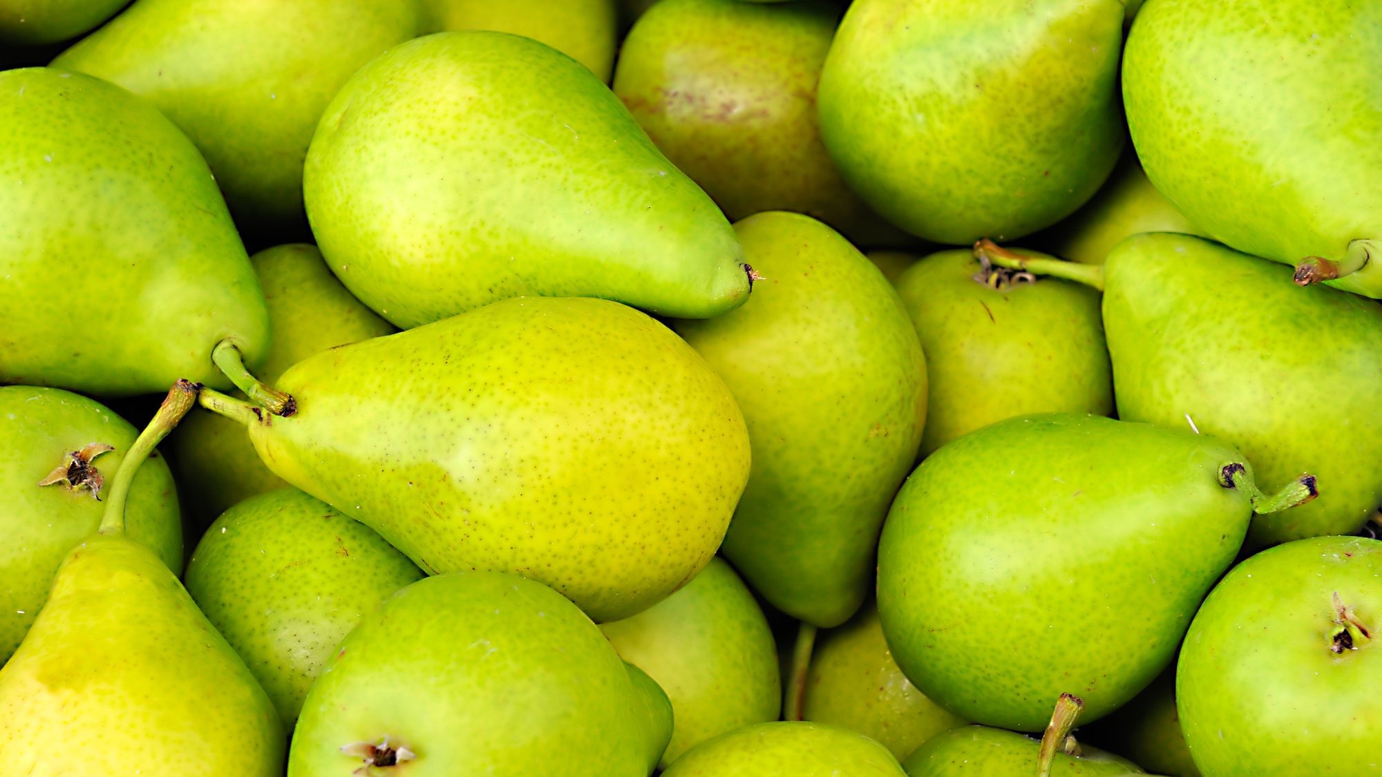 Es ist fast unmöglich zu definieren, was Gentechnik ist