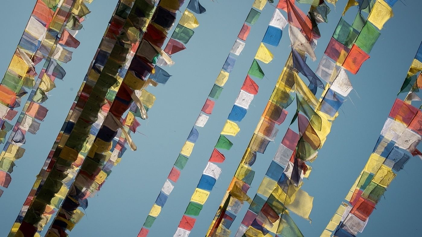 Zwischen Hoffnung und Verzweiflung