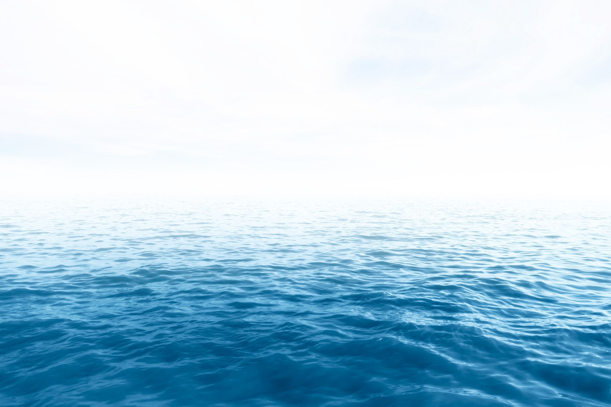 Auch wir müssen uns entscheiden