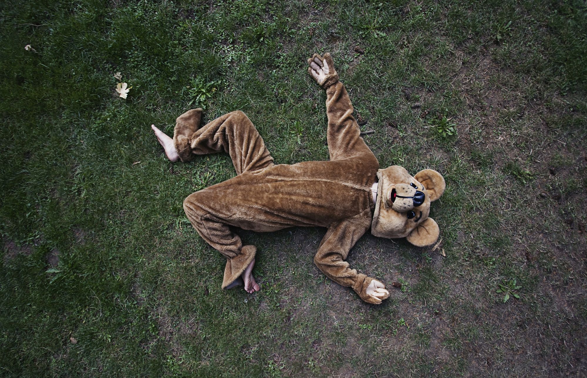 Super ausgebildet, super frustiert