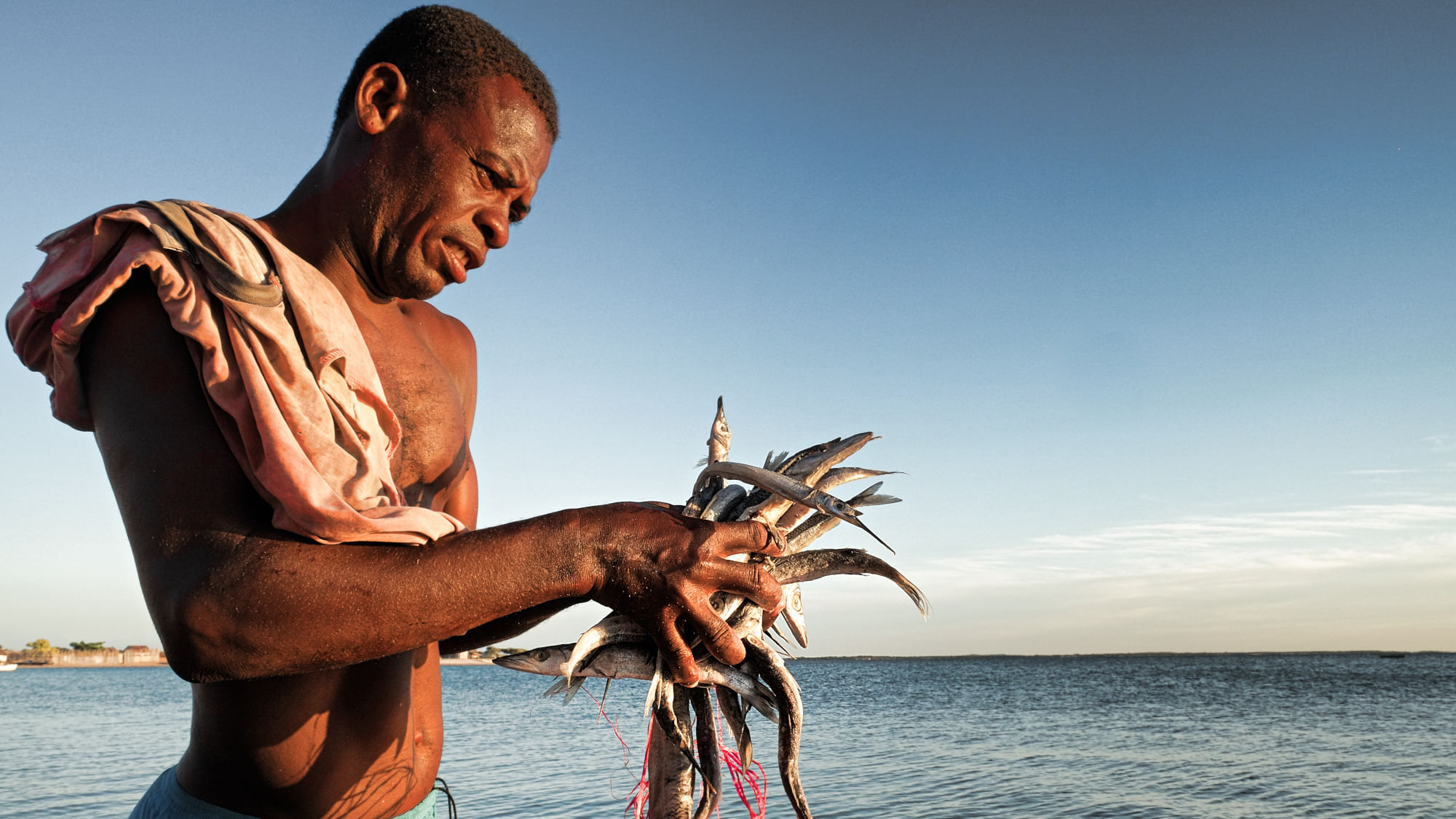 Was tun, wenn es im Meer keine Fische mehr gibt? 