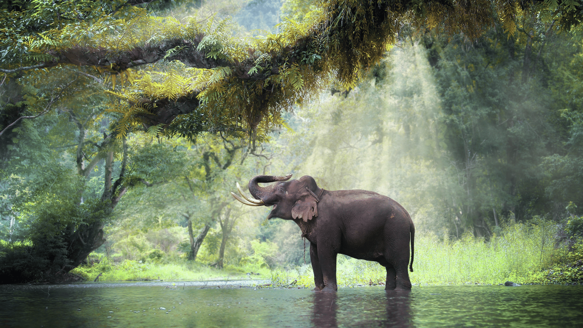 Das waren die guten Nachrichten im Juli