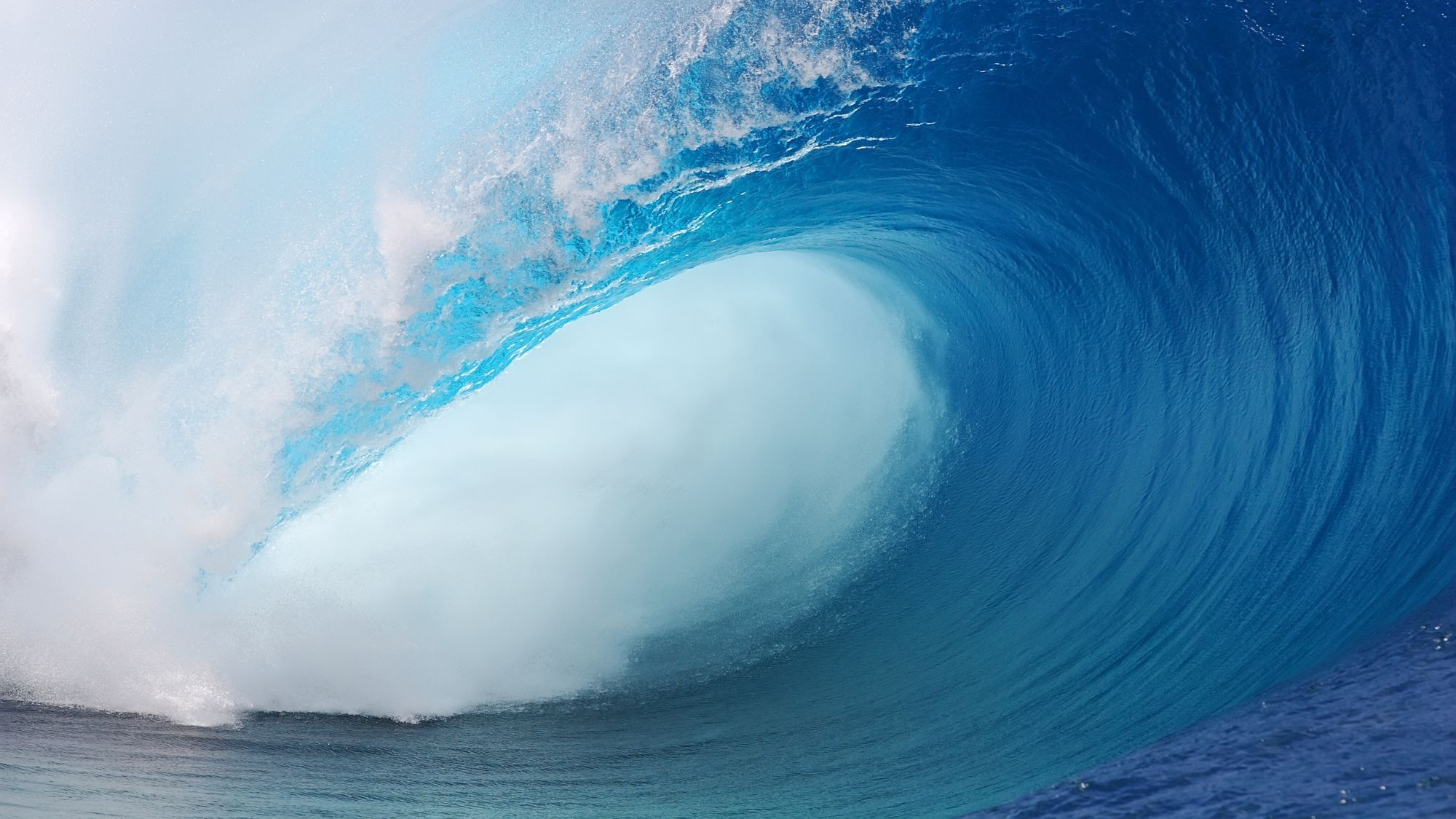 Das wichtigste Lebensmittel der Welt, erklärt von A bis Z