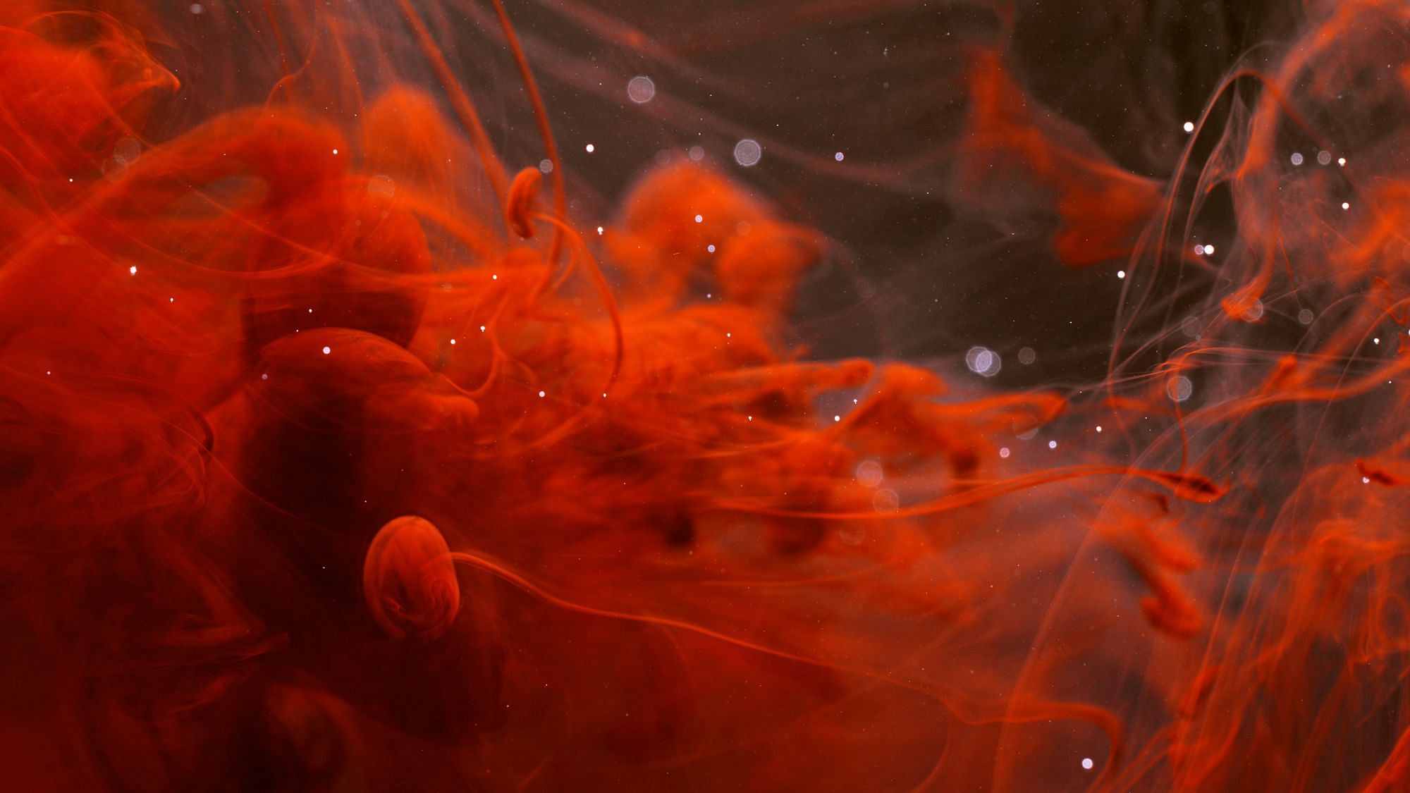 Blutgeld – was mit deiner Blutspende passiert