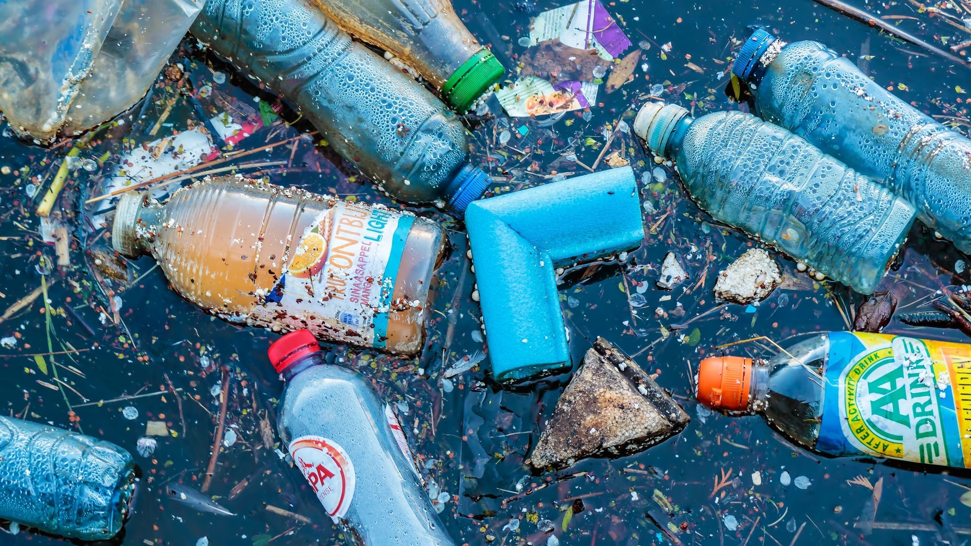 Sind plastikfressende Bakterien wirklich die Lösung für unser Müllproblem?