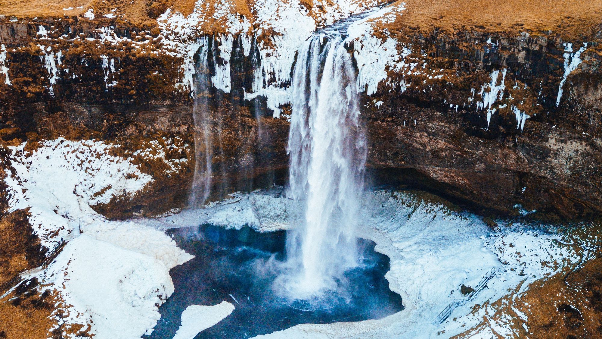 Eigentlich müssten wir alle Veganer werden, um die Erde zu retten