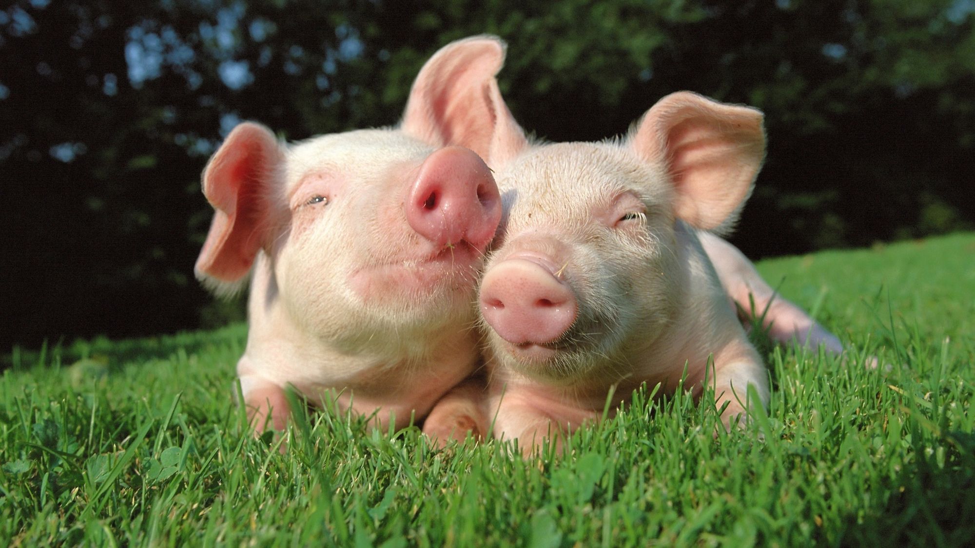 Die Formel, die ethischem Konsum zum Durchbruch verhelfen kann