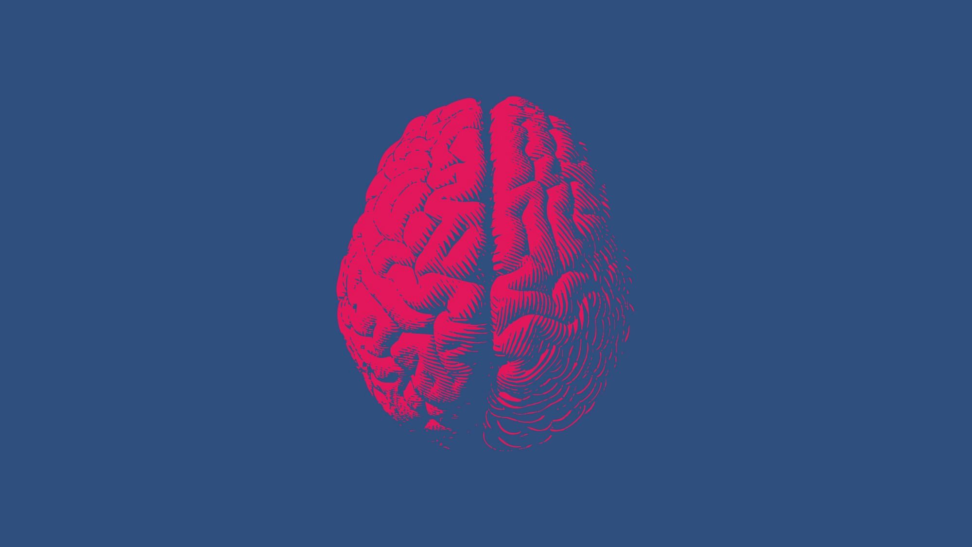 Illustration: Ein rotes Gehirn auf blauem Grund.
