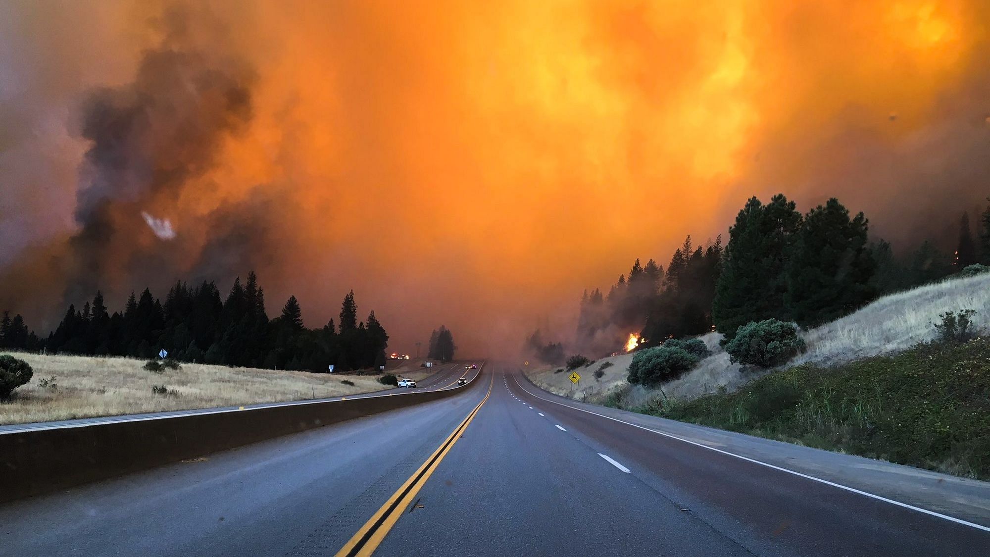 Ab jetzt gibt es nur noch ein wirklich wichtiges Thema: die Klimakrise