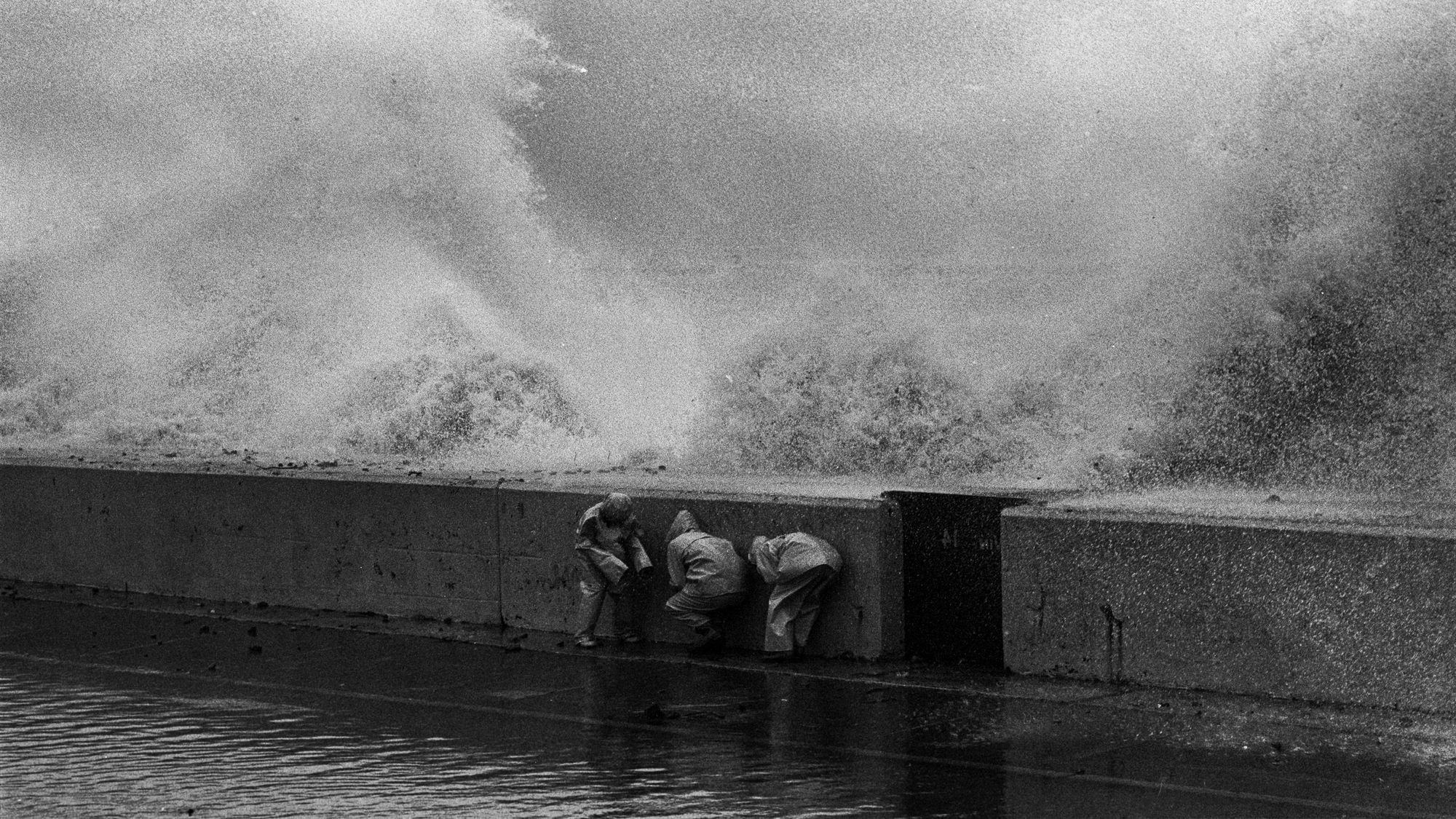 Die Krise der Betonköpfe