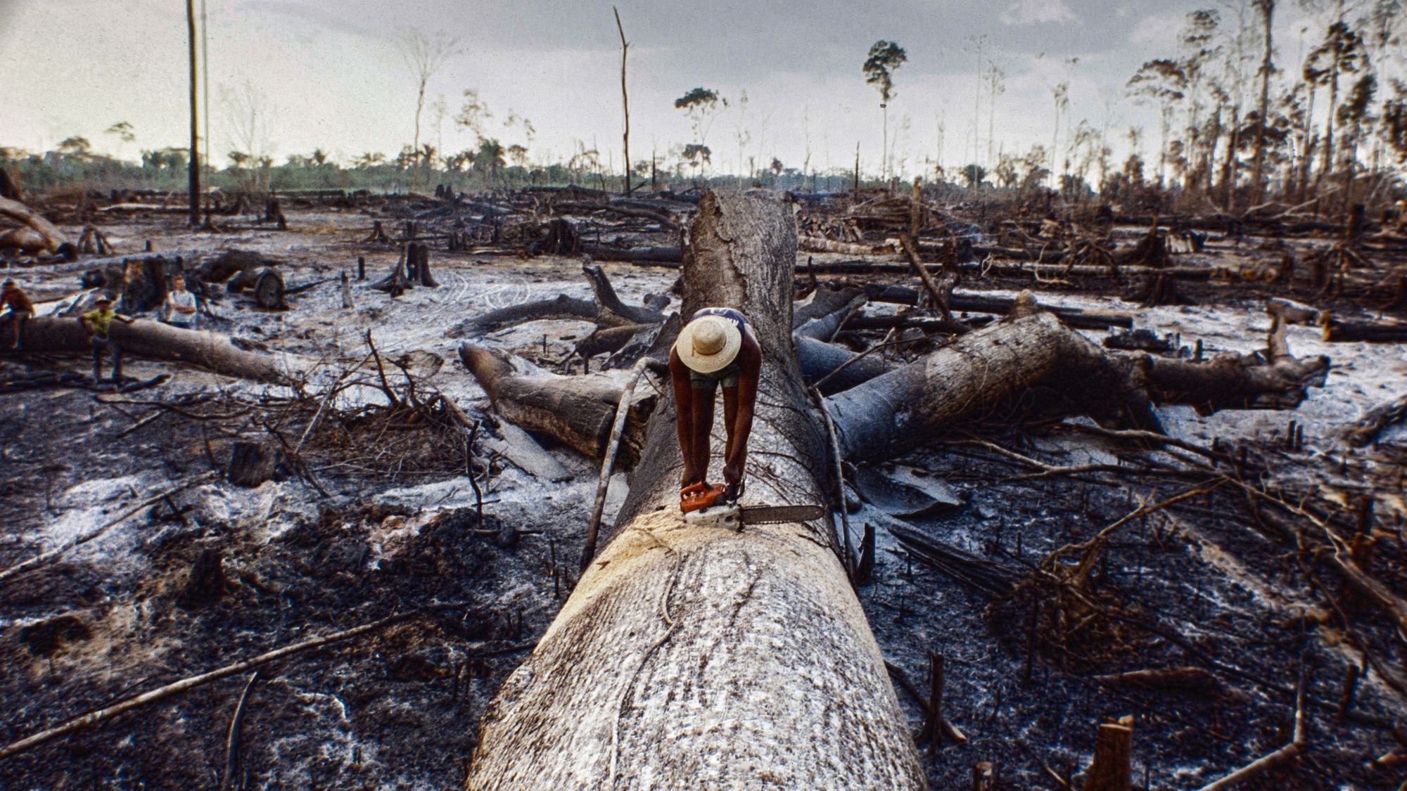  Corona könnte erst der Anfang weiterer  Pandemien sein