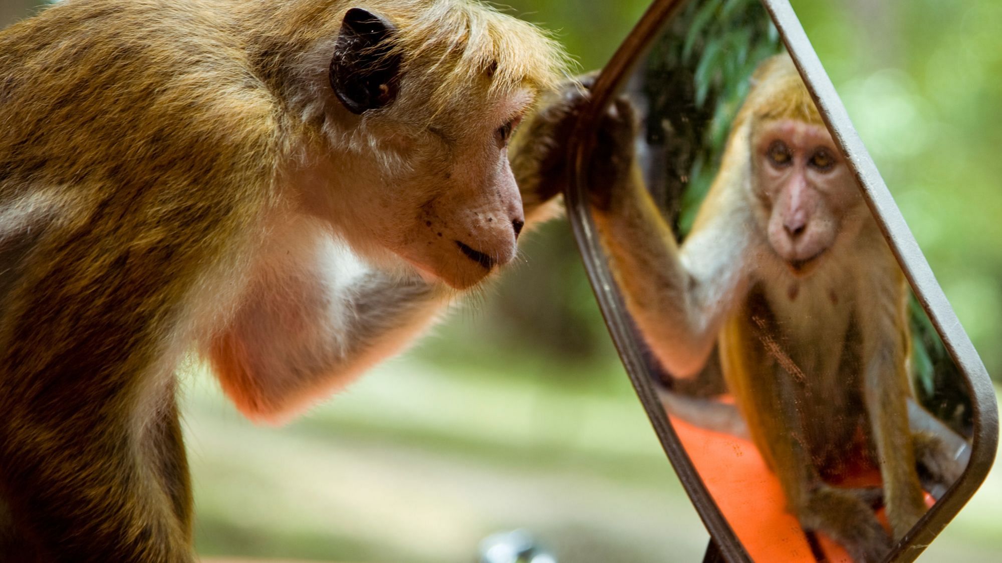 „Hat mich sehr gefreut, mit mir zu reden“ – die Kunst des Selbstgesprächs