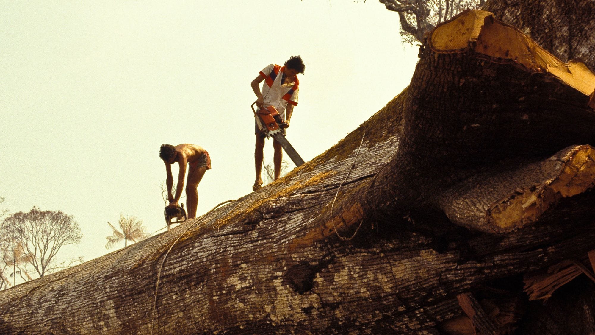 Die wichtigsten Entwicklungen im Mai, die du vielleicht verpasst hast