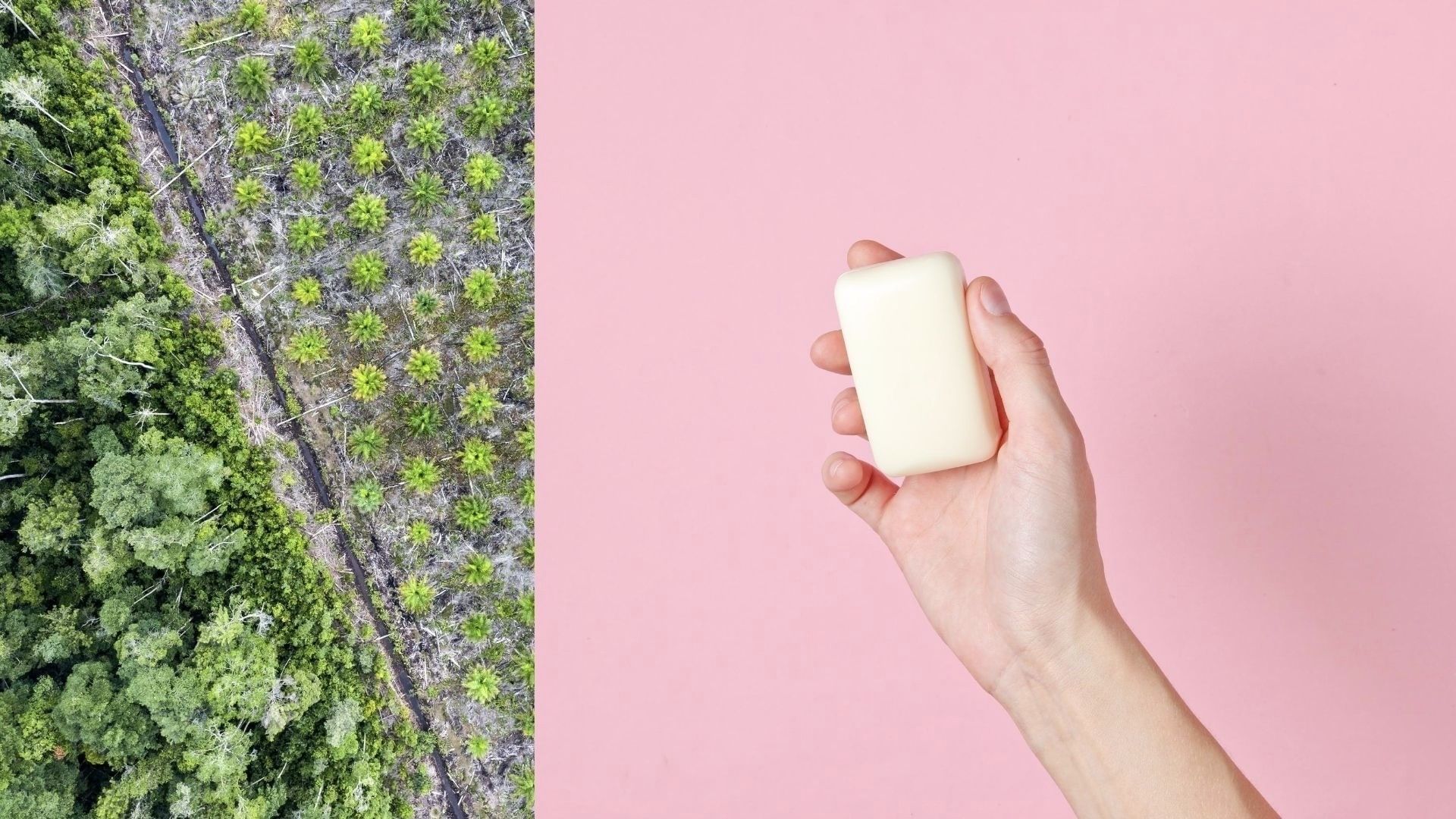 Links Regenwald und Palmölplantage, rechts eine ausgestreckte Hand, die ein Stück Seife hält.