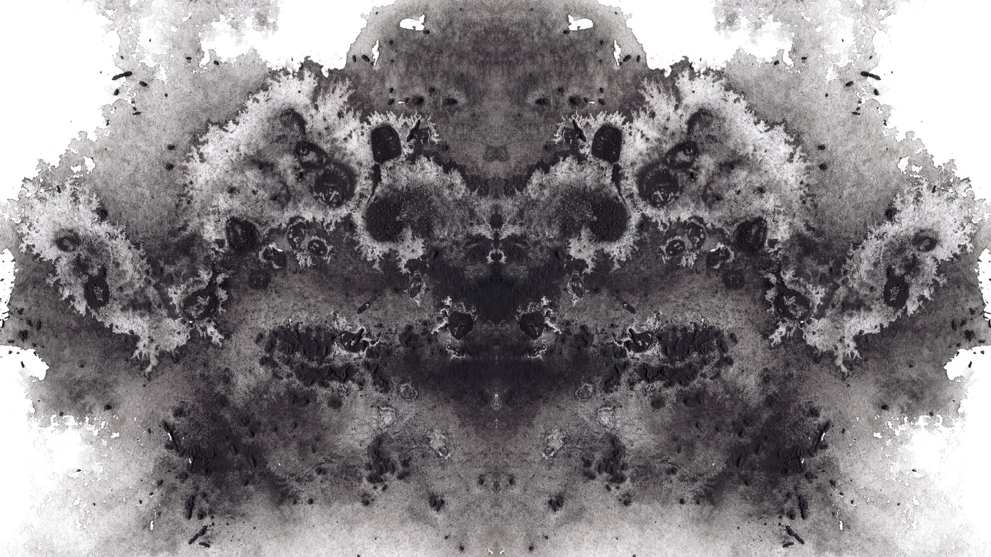 Wir sehen eine Art Rohrschach-Bild: Ein abstraktes Schwarzweiß mit vielen unterschiedlichen Formen. 