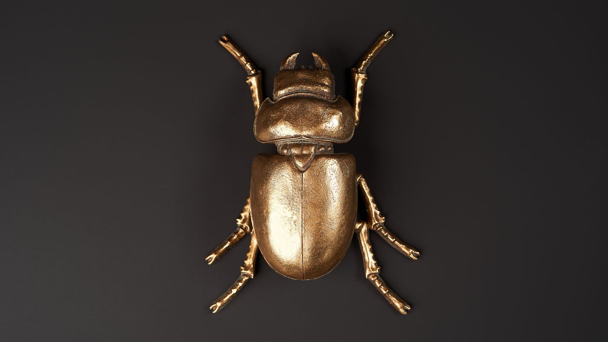 Ein golden lackierter Skarabäus auf einen anthrazitfarbenen Hintergrund. 