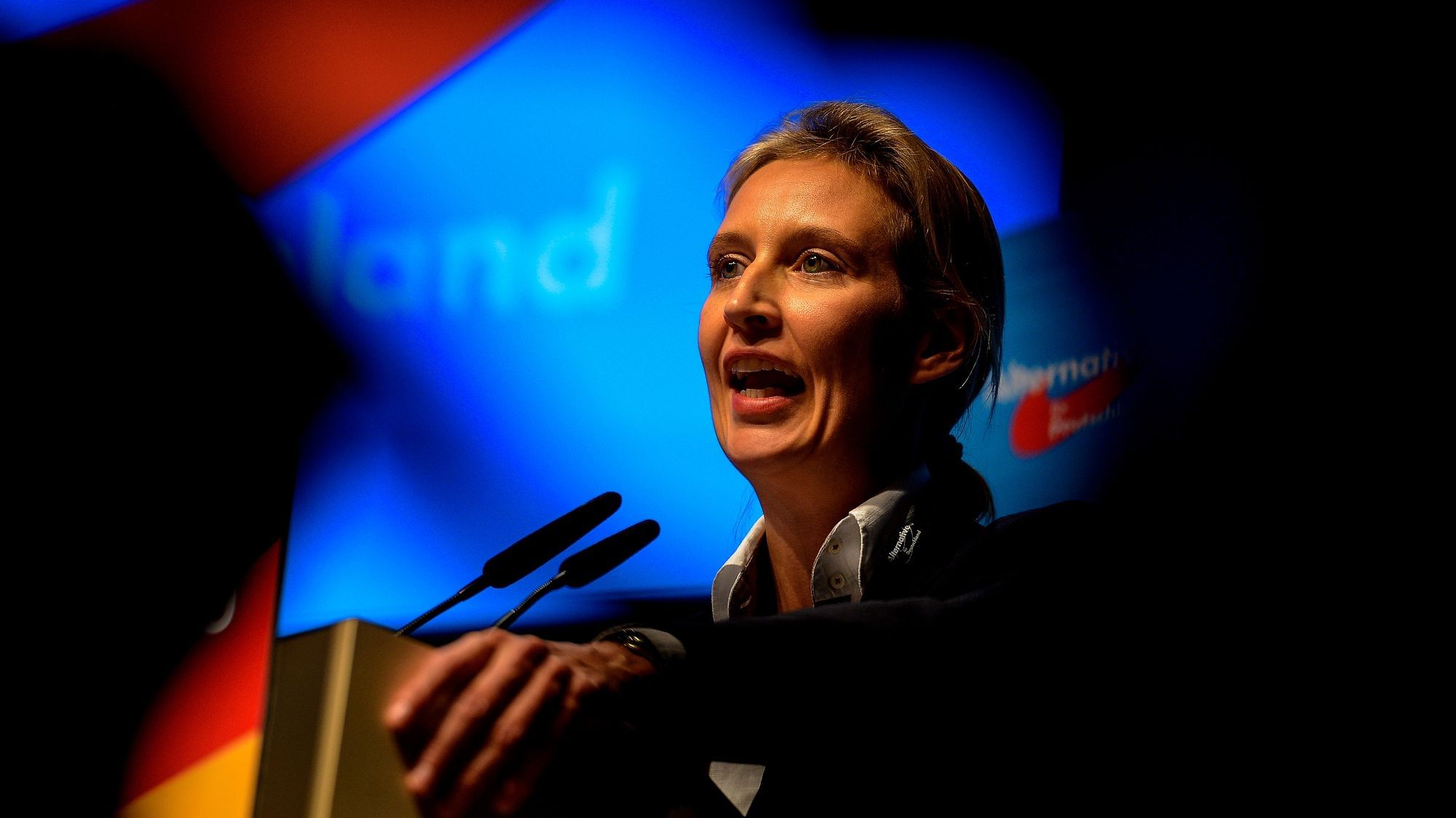 Alice Weidel spricht auf dem Bundesparteitag. 