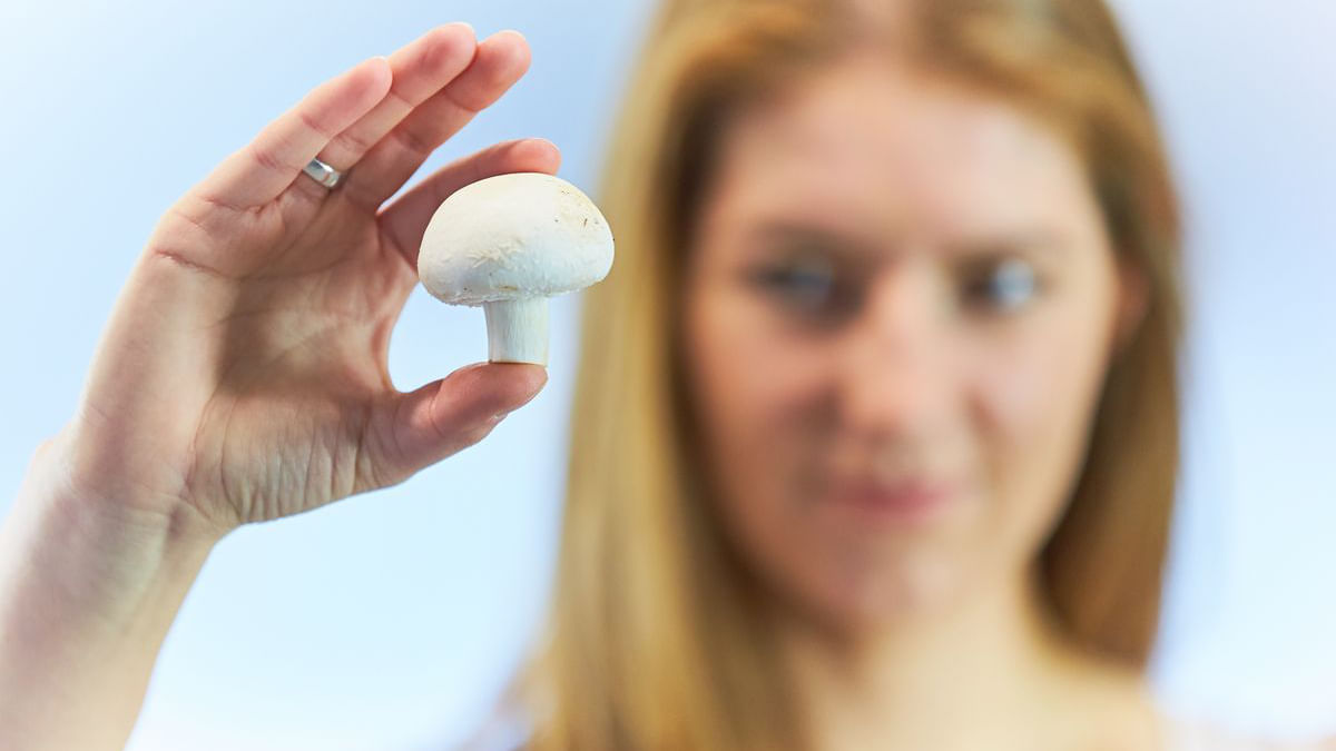 Eine Frau, im Bokeh verschwommen, hält einen Pilz hoch.