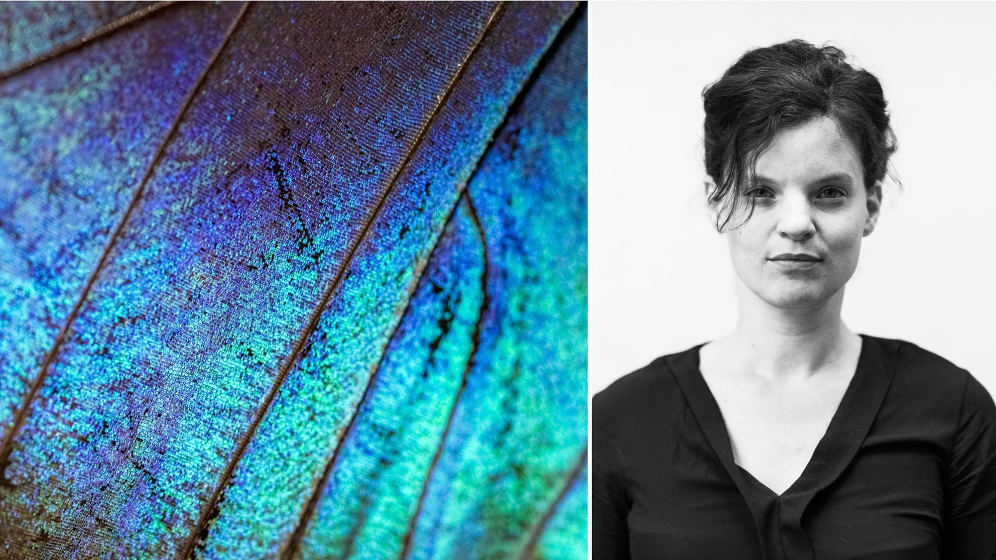 Links: Eine Nahaufnahme eines Schmetterlingsflügel. Rechts: Ein Porträt von Theresa Bäuerlein.