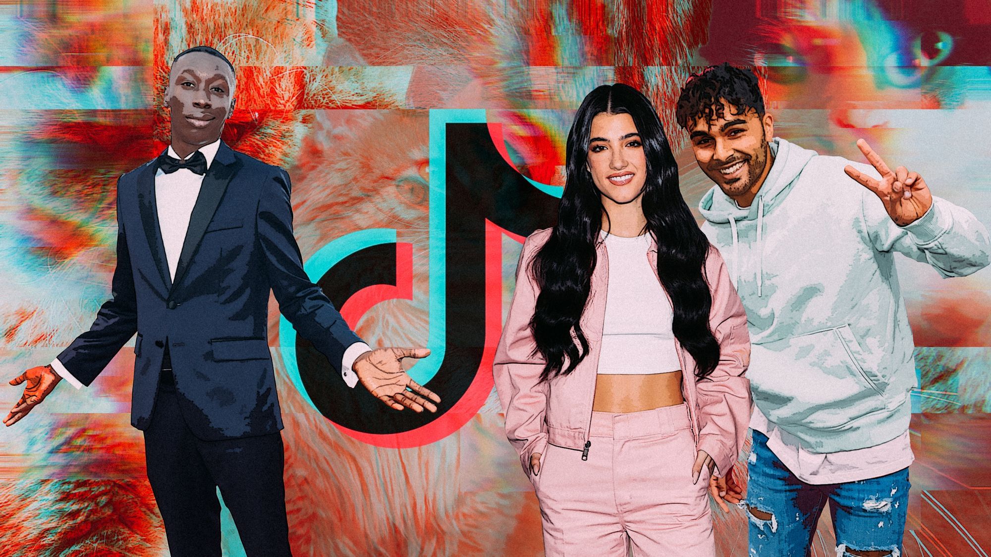 Collage: Bekannte Tiktoker:innen vor einem Hintergrund aus Katzen