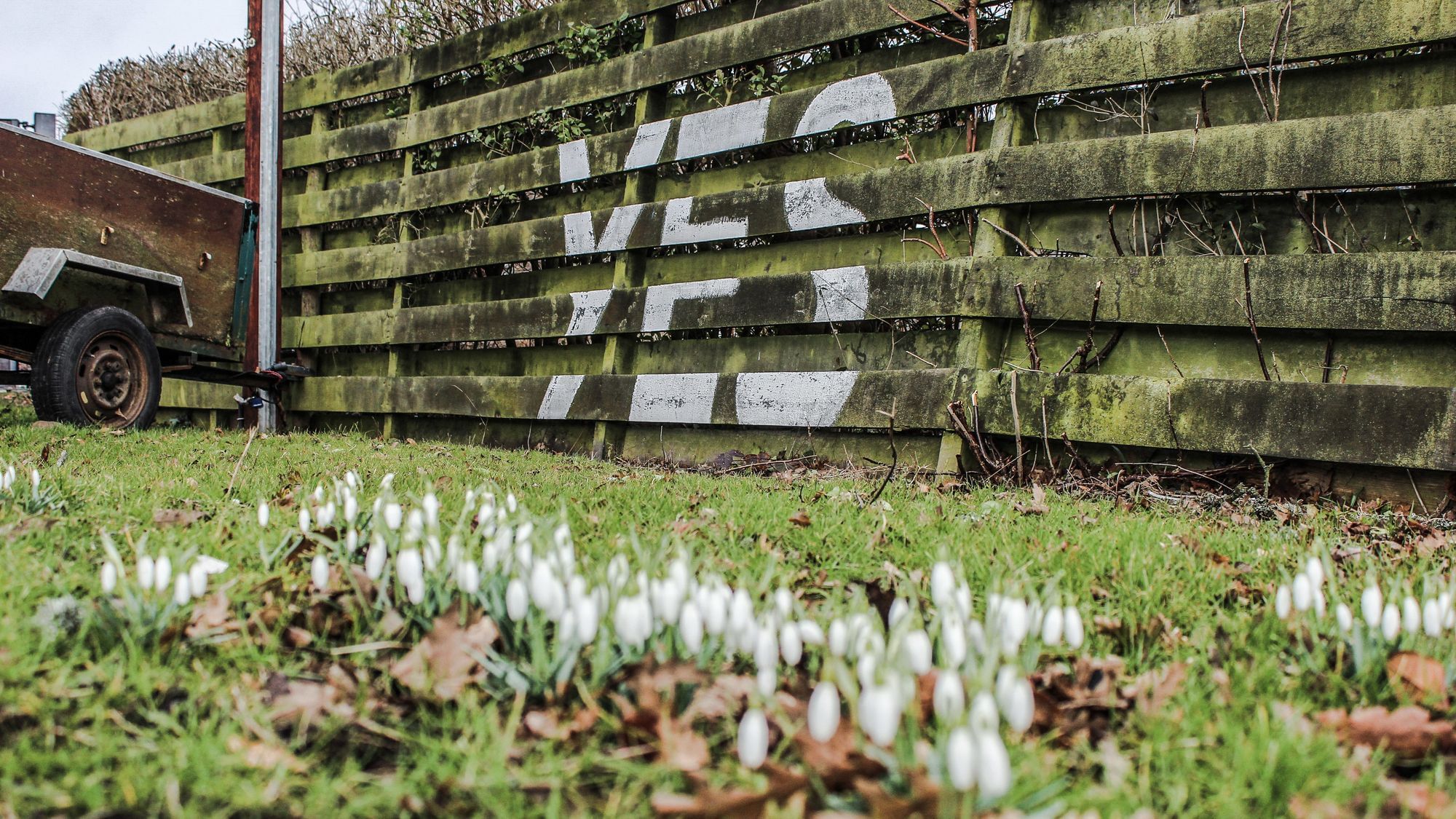 Highland Games: Wie Schottland weiter von Unabhängigkeit träumt