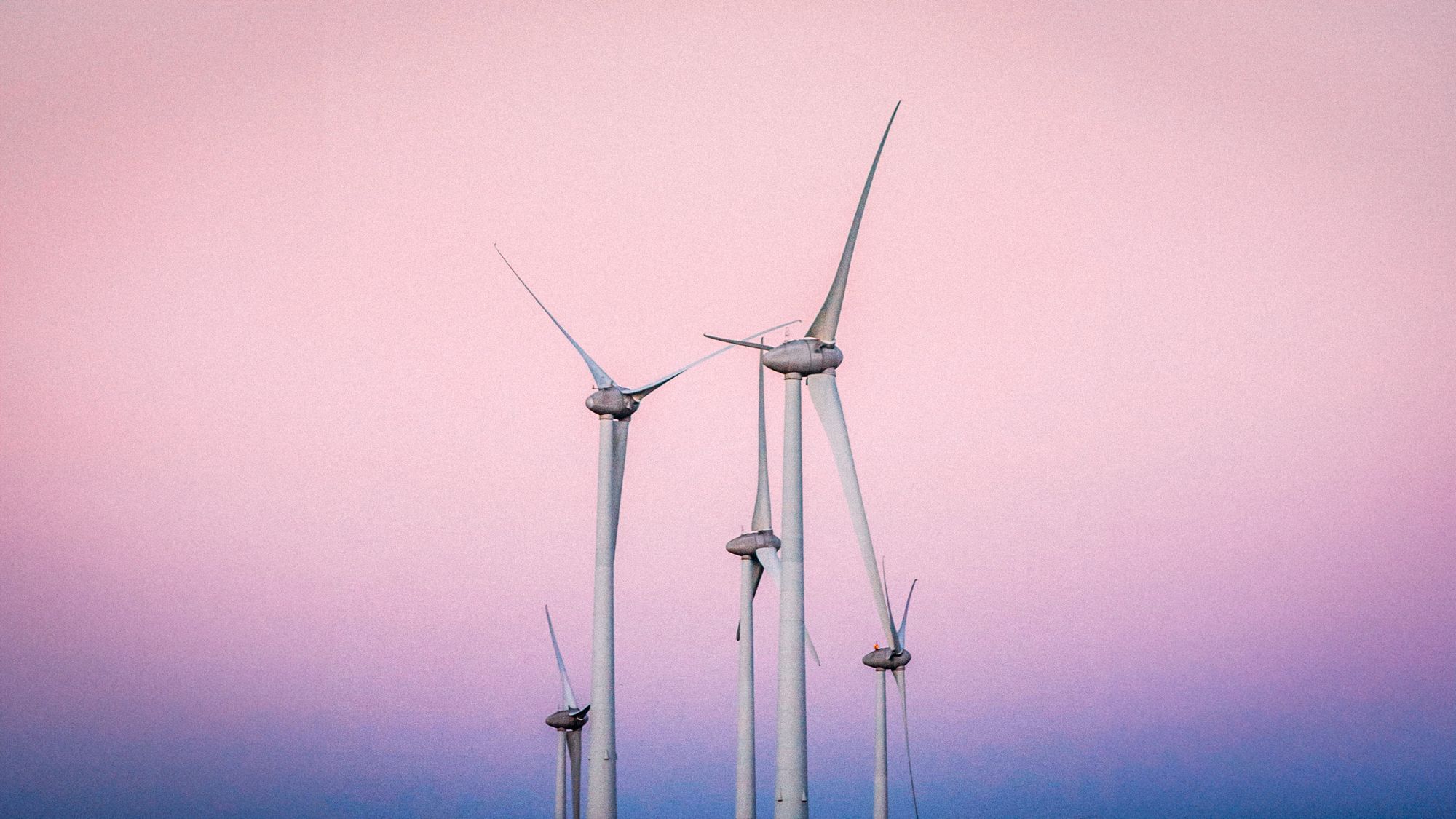 Windräder in der Dämmerung. Der Himmel ist rosa gefärbt.
