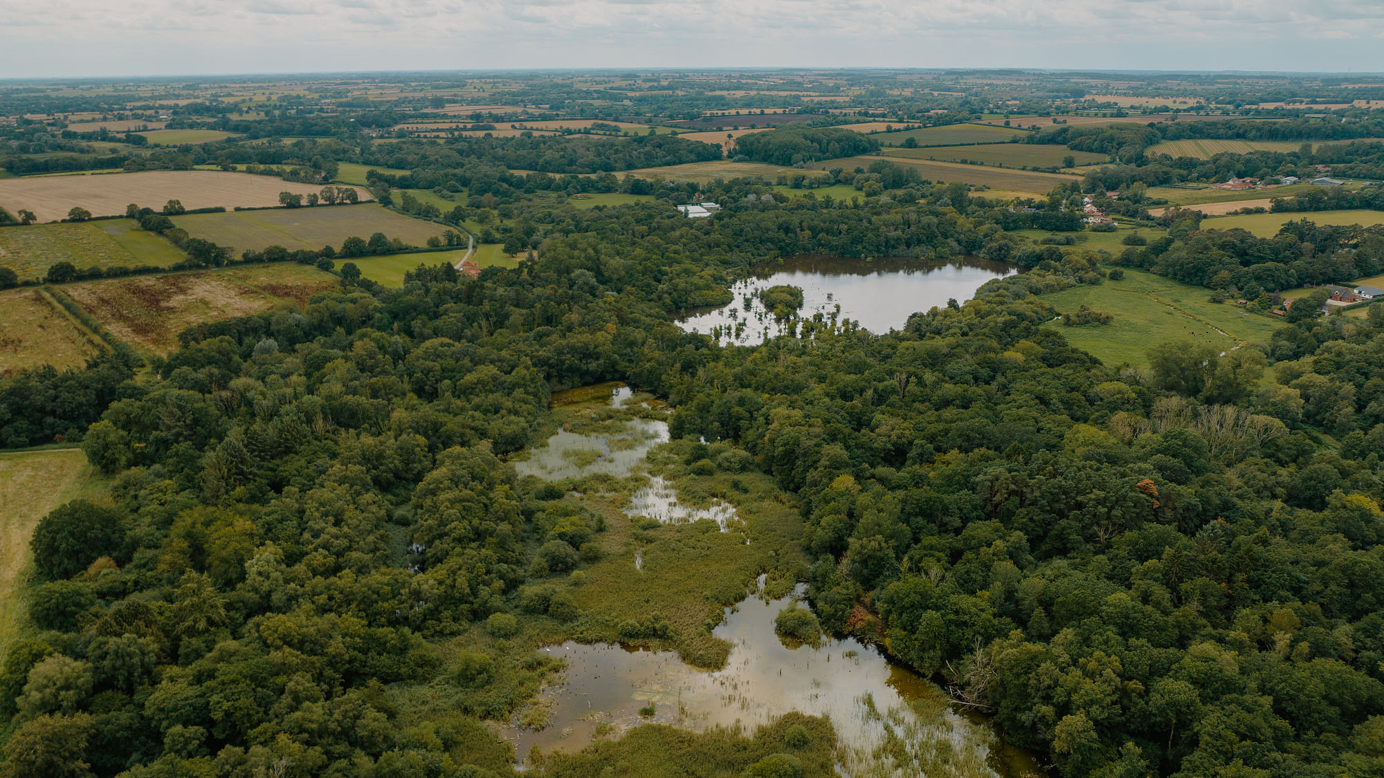 Landschaft mit Sumpfgebieten in Norfolk, England