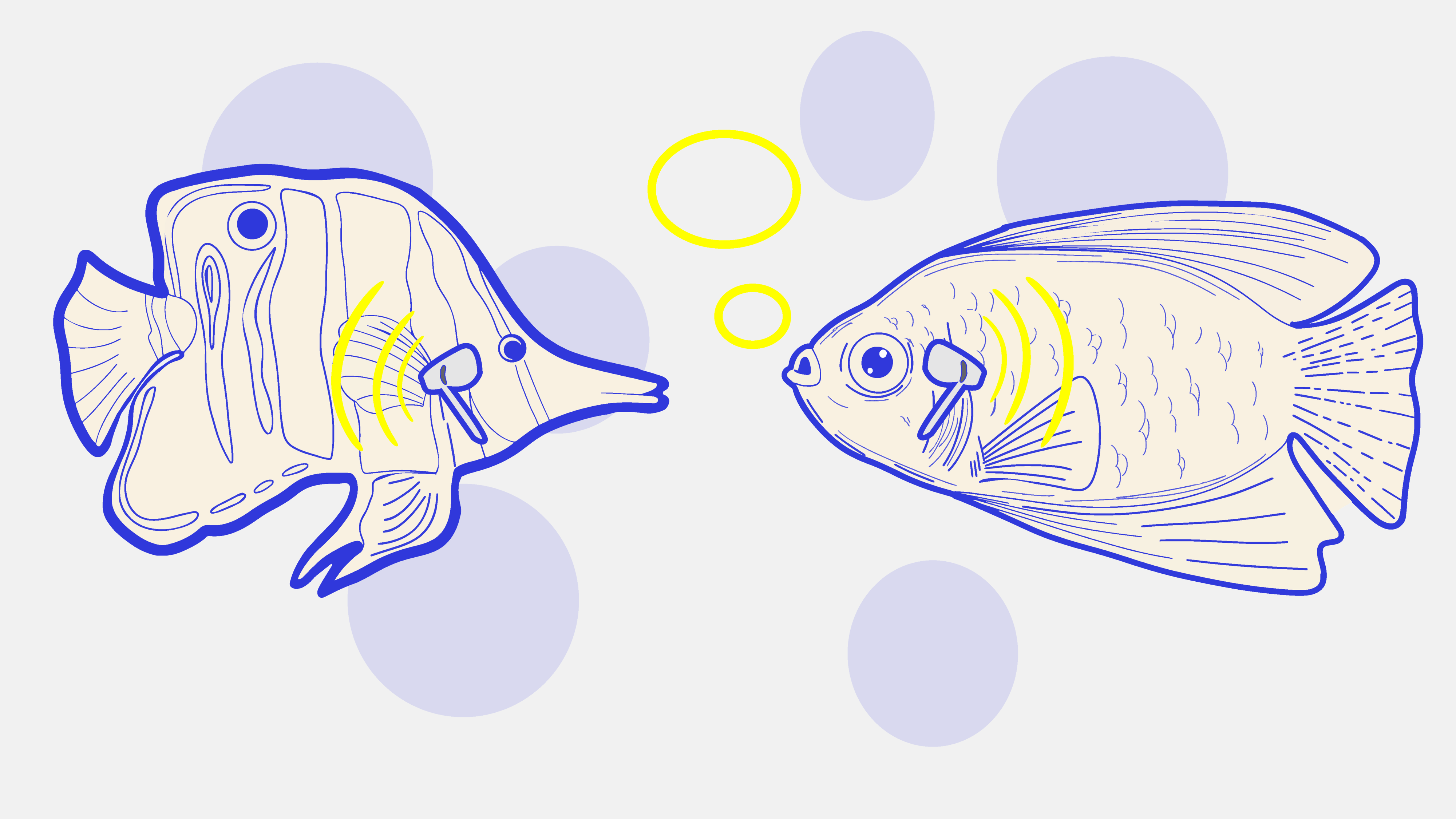 Fische mit Airpods die sich unterhalten, Grafik 