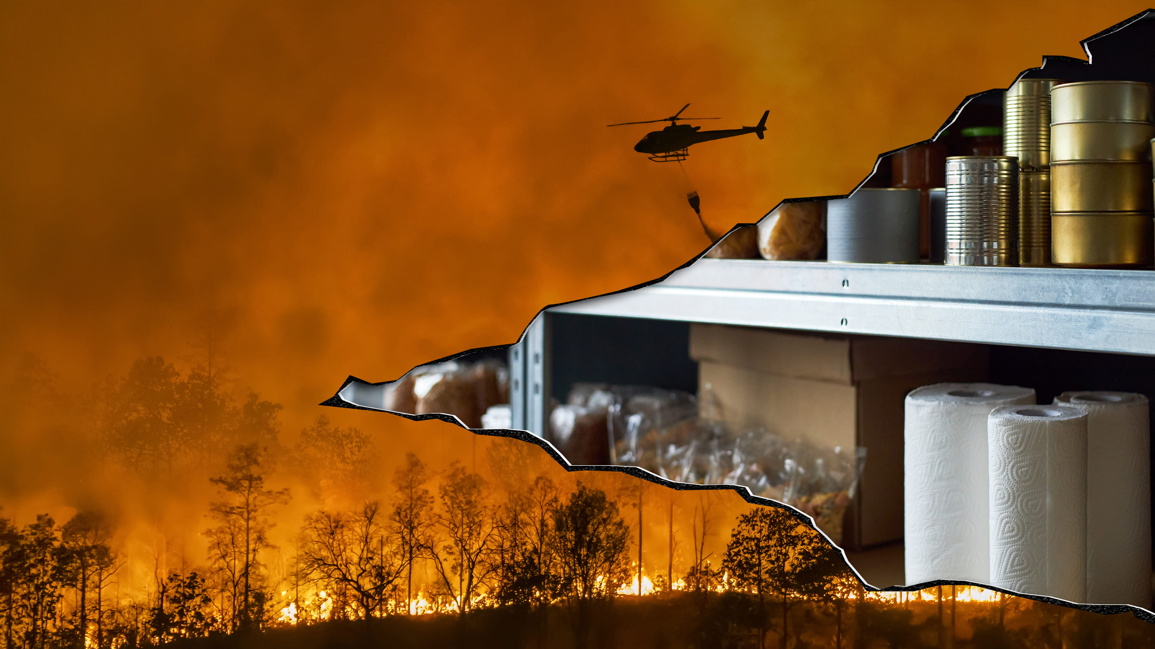 Kollage aus einem um sich greifenden Waldbrand und einem Kellerregal mit einem Notvorrat an Dosen