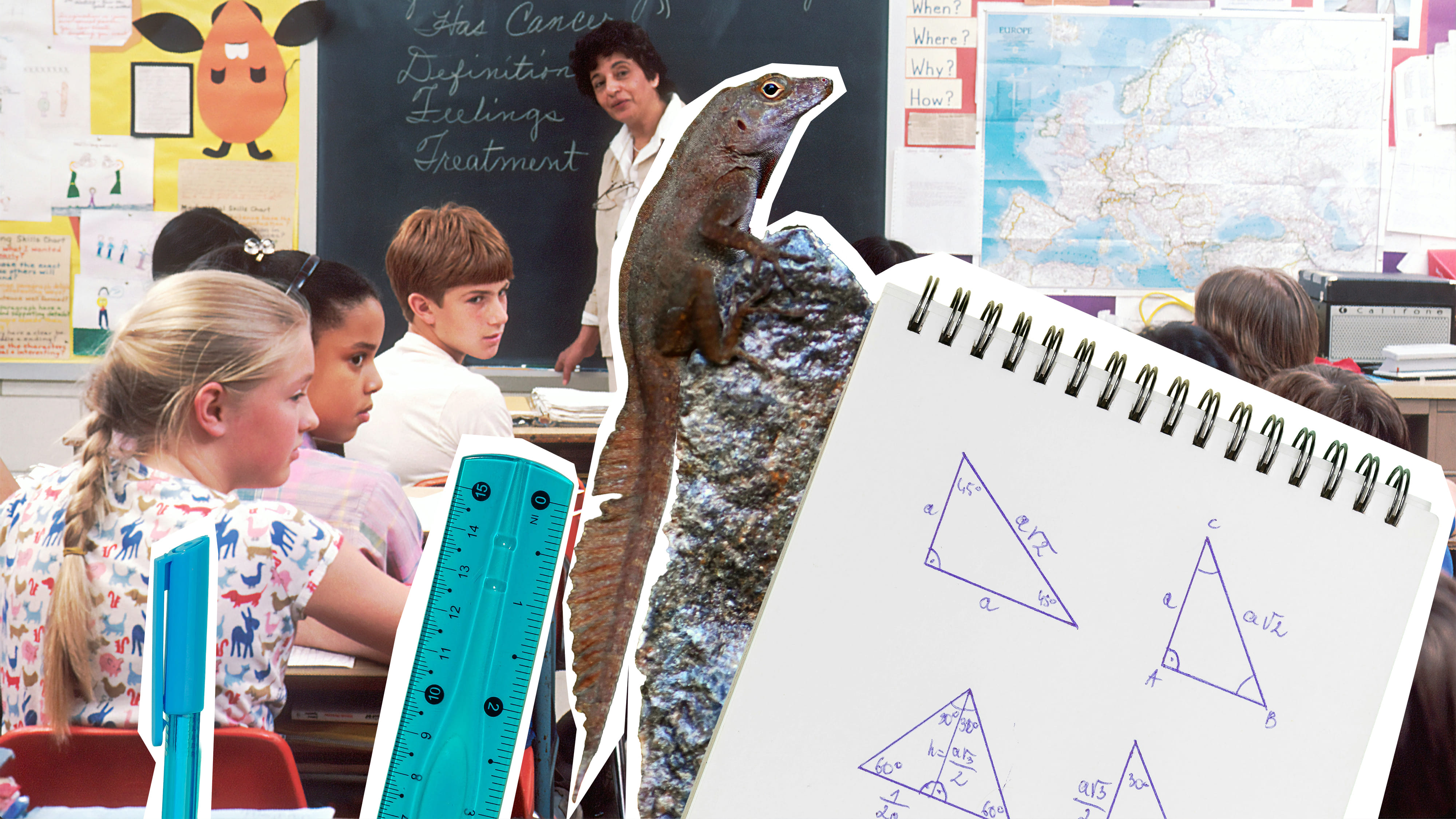 Im Vordergrund Lineal, Geodreieck und Salamander als Sticker, im Hintegrund eine Schulklasse