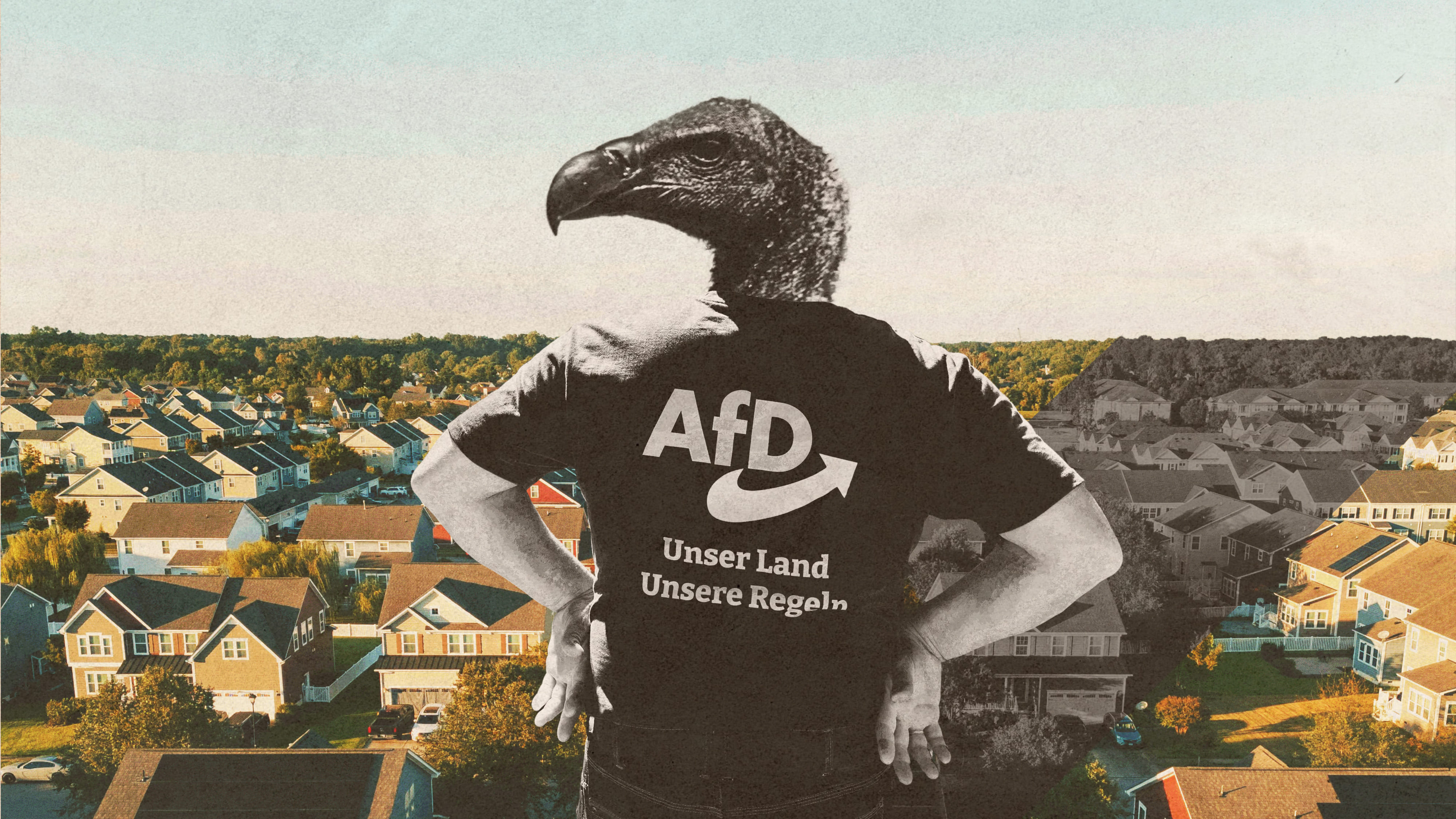 Collage: Ein Geier mit AfD-Shirt blickt auf eine Reihenhaussiedlung der Mittelschicht.