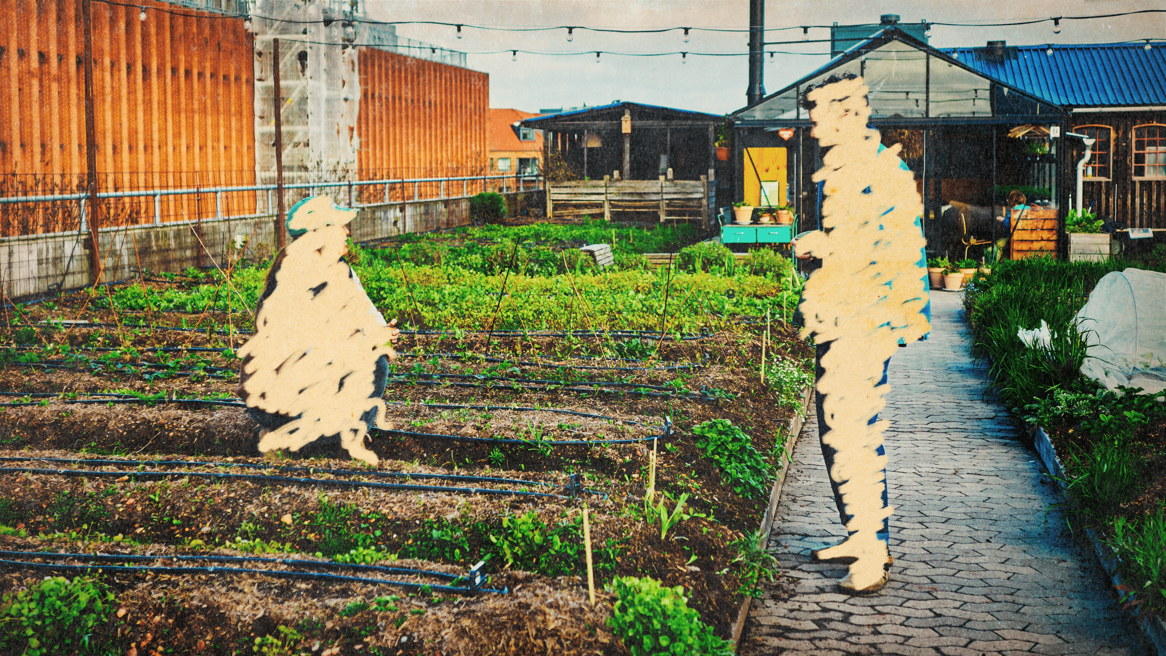 Zwei Personen stehen sich beim Urban-Gardening gegenüber. Sie wurden digital überpinselt.