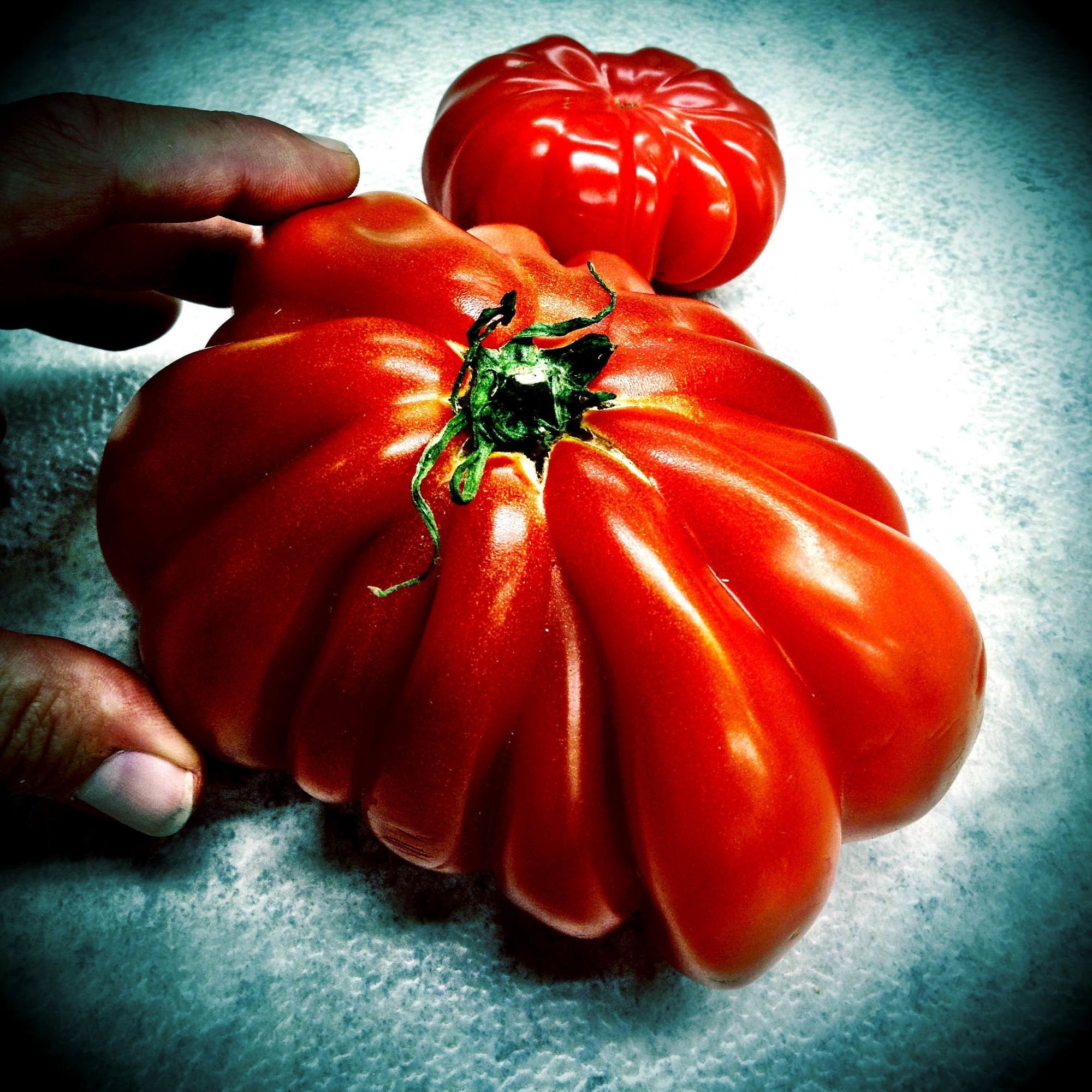 Von der Schwierigkeit, legal gutes Gemüse zu finden 