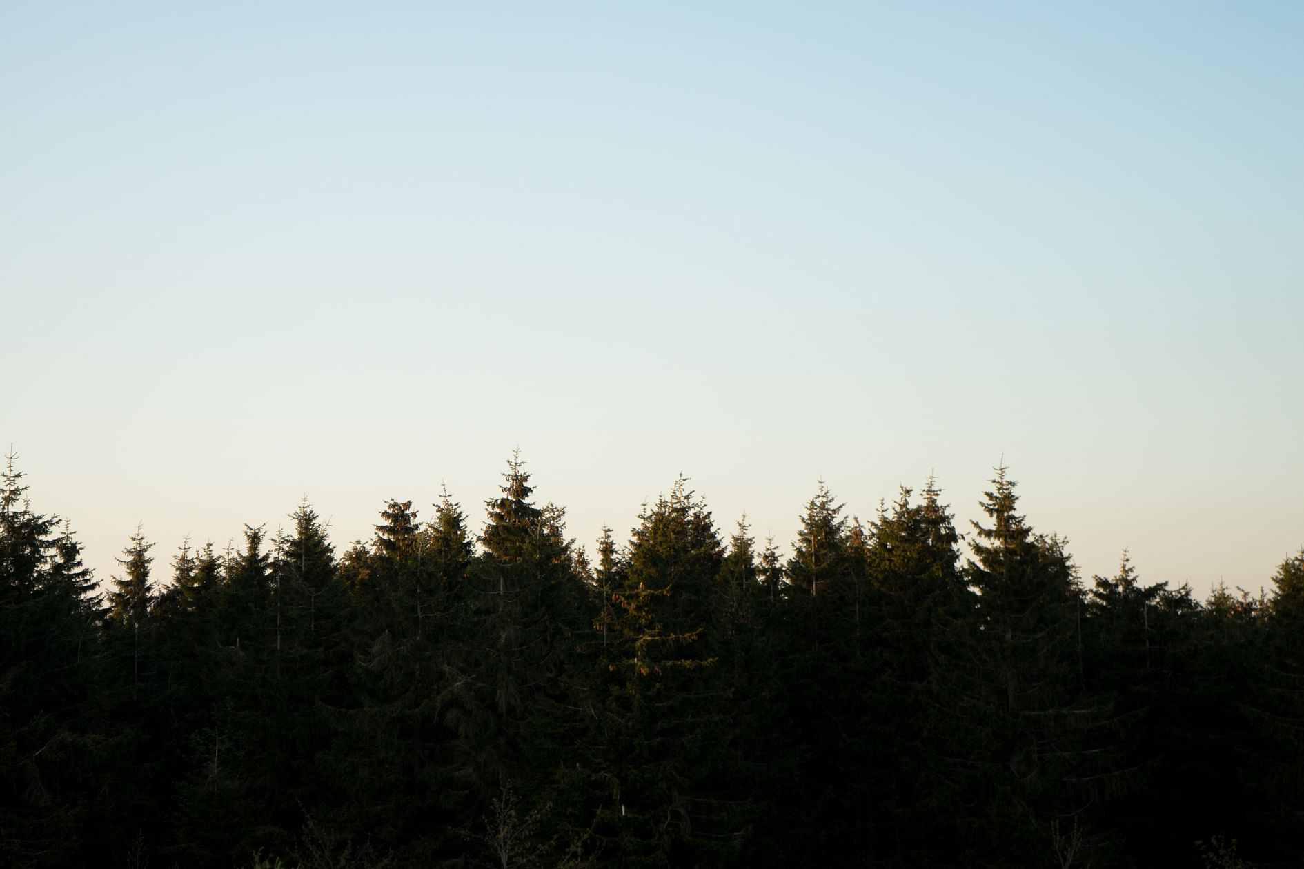 Das politische Heimweh der jungen deutschen Europäer