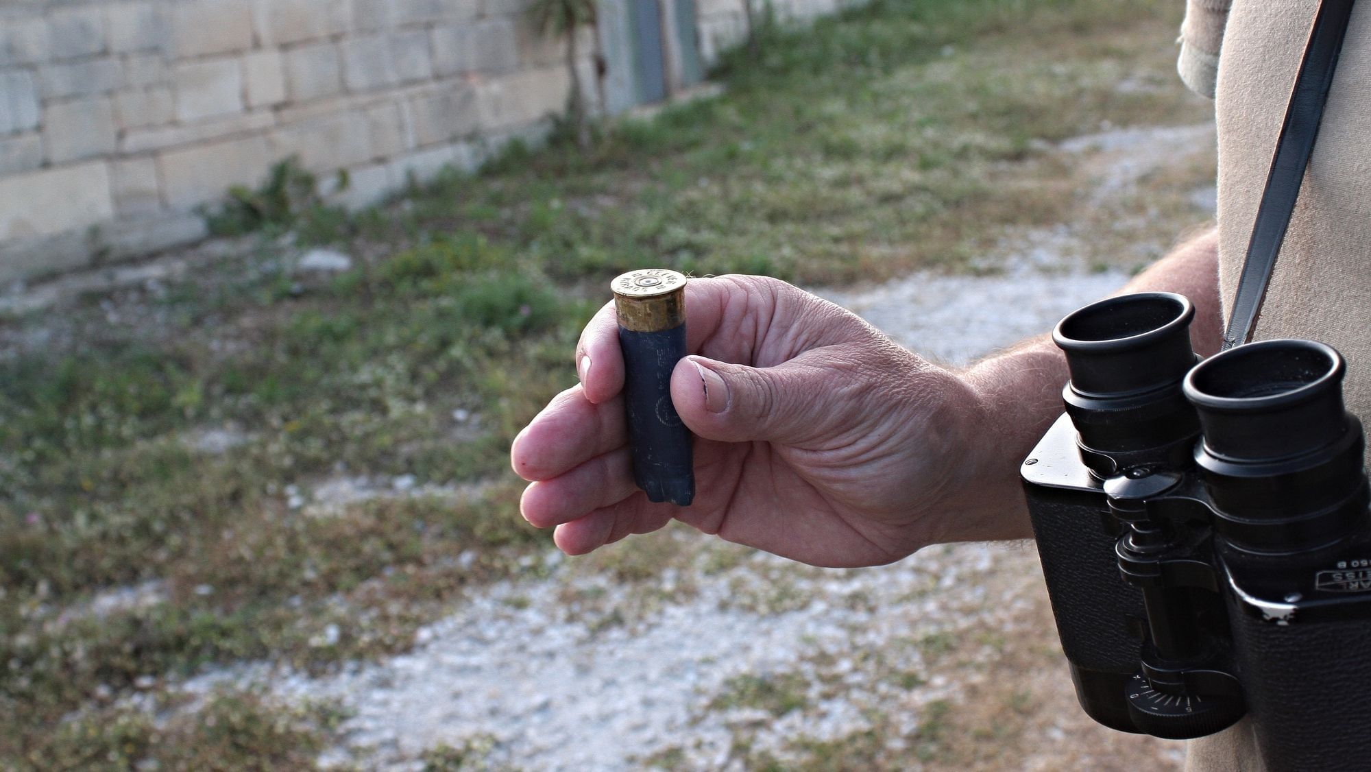 Im Vogelschussgebiet