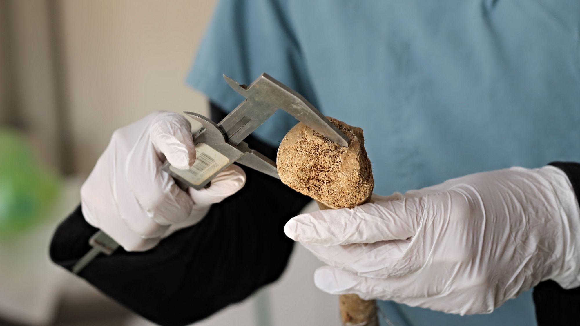 Eine Wahrheit für alle