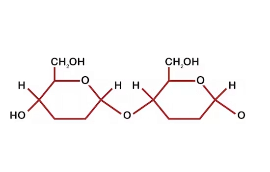 Zwei Chemische Ketten zeigen die Moleküle von Zucker.