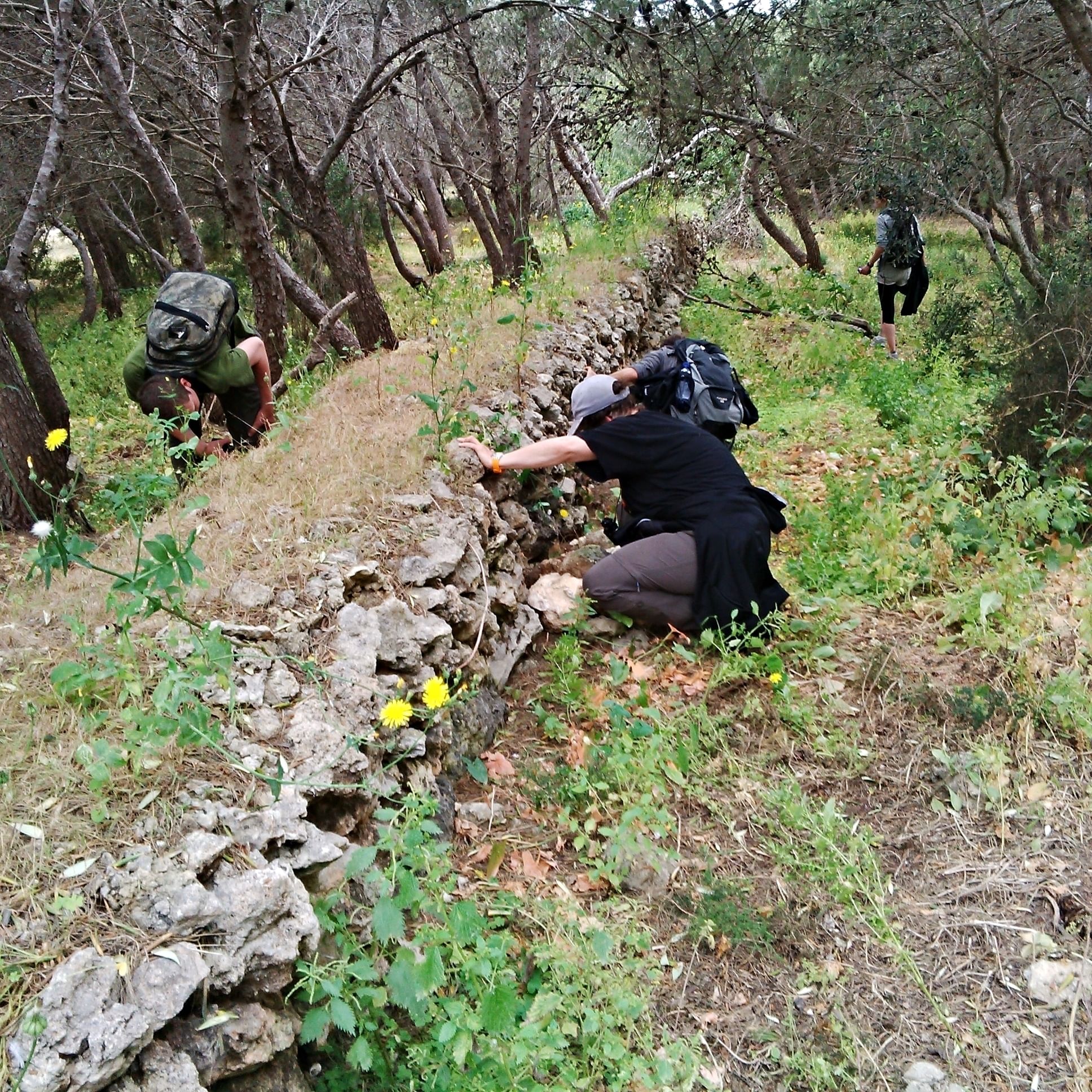 Historische Mauer - Versteck für illegal getötete Vögel