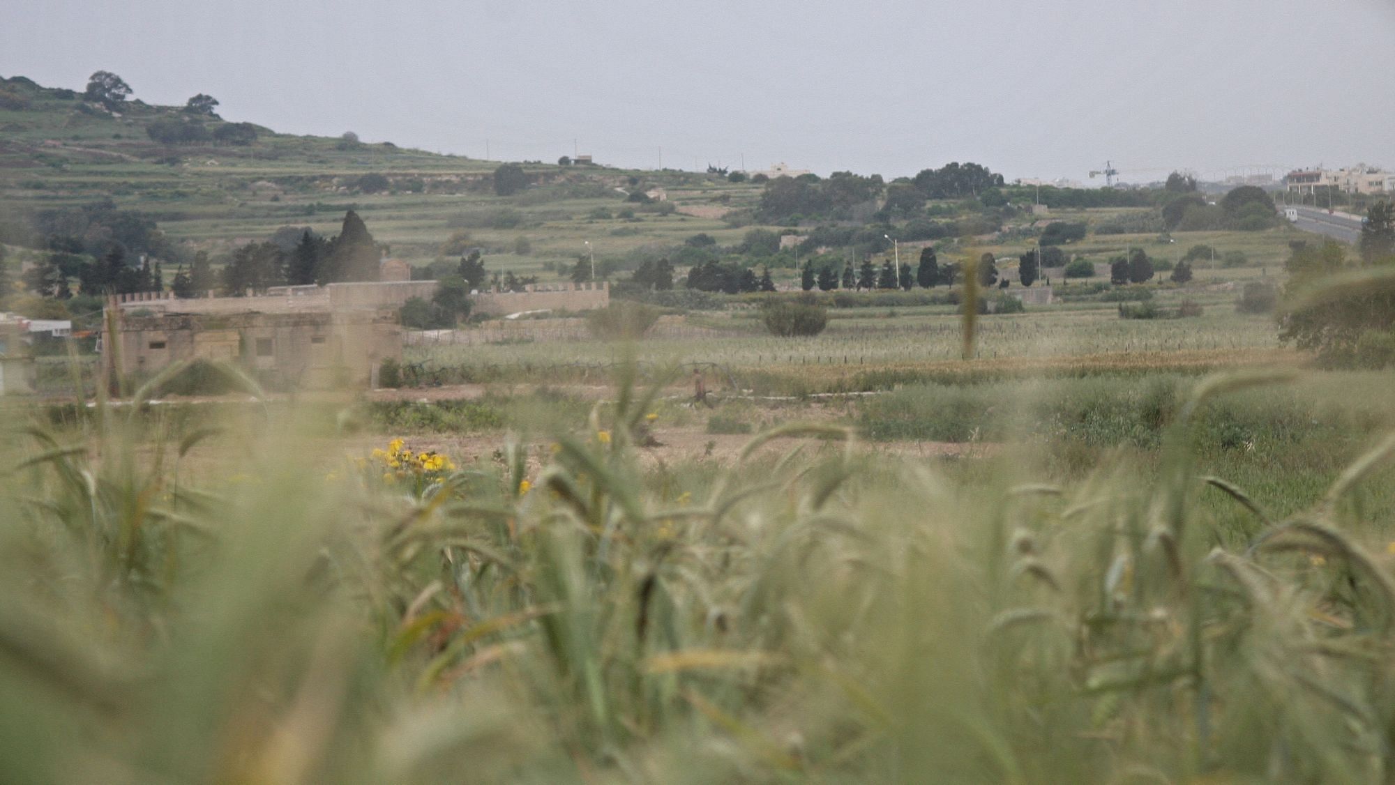 Suchbild mit Jäger - ganz klein in der Bildmitte, mit Flinte