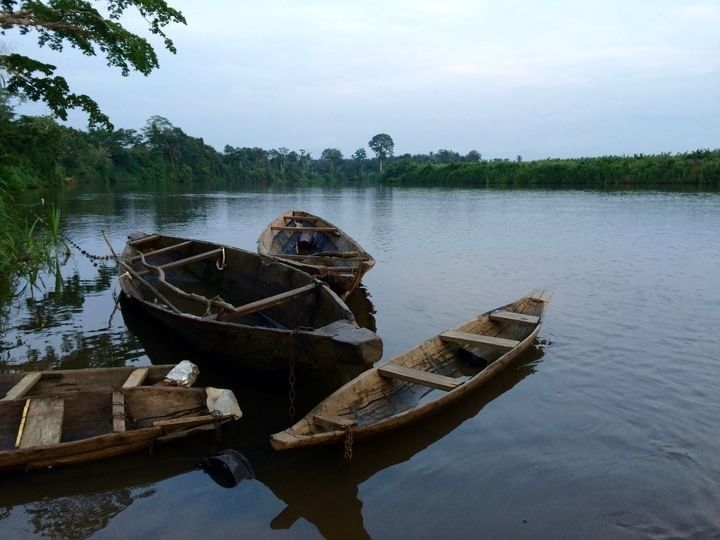 Der Mungo-Fluss, der die Socapalm Plantage begrenzt. Bewohner der Gegend beschweren sich, dass die Gewässer mit Chemikalien verschmutzt werden.