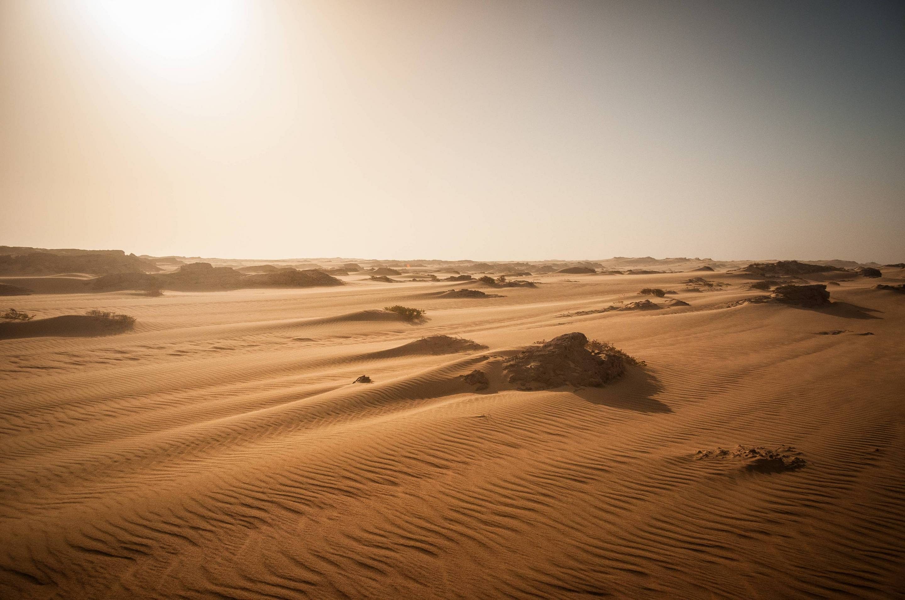 Hinter diesen Dünen liegen Landminen und die West-Sahara - ein nicht als Staat anerkanntes Territorium, das von Marokko und Mauretanien unabhängig sein will.