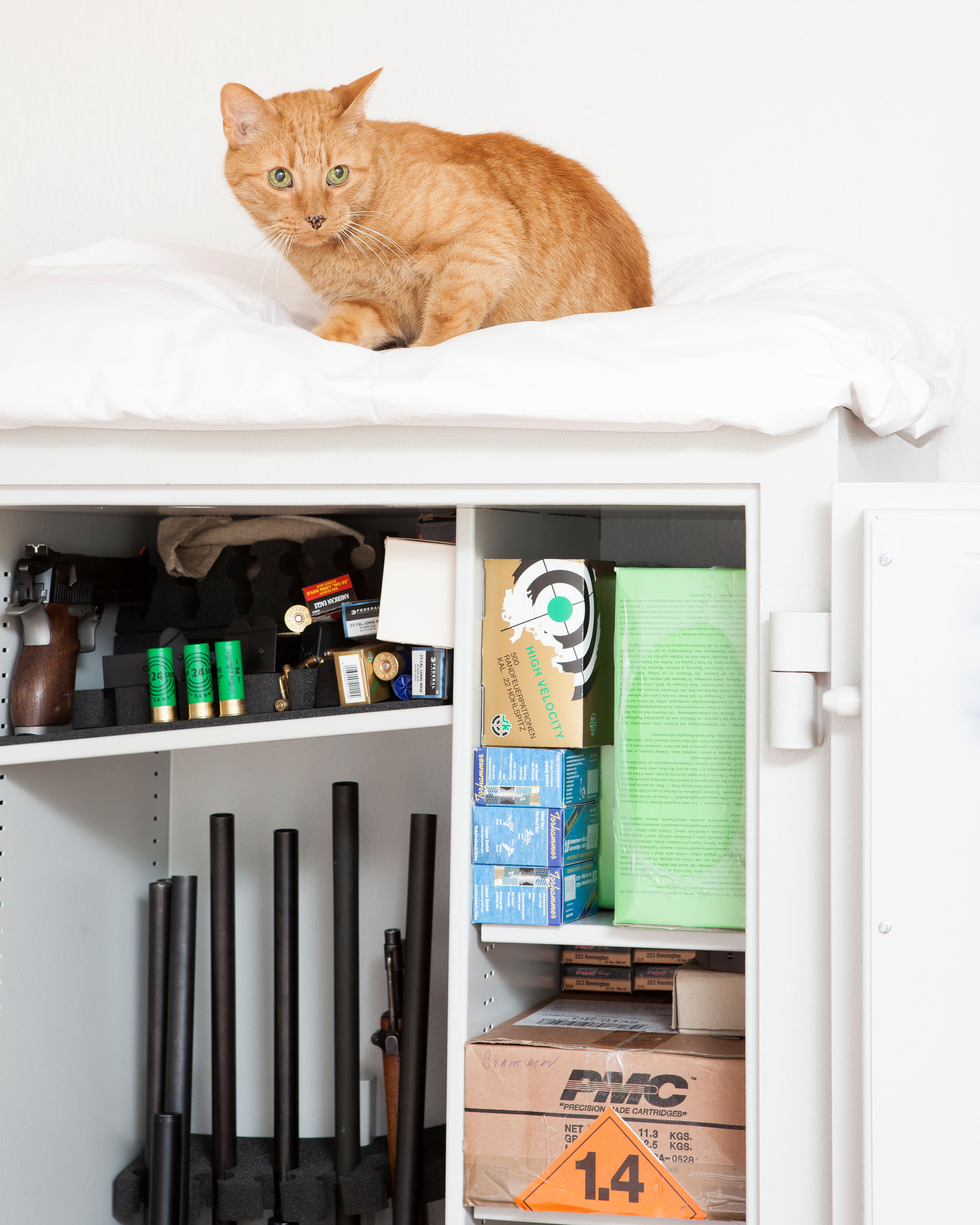 Die Katze eines Waffenbesitzers hat ihren Platz auf dessen Waffenschrank. Ein Waffenschein ist laut deutschem Waffenrecht die Erlaubnis, eine Waffe zu „führen“ – also in der Öffentlichkeit mit sich rumzutragen. Eine Waffenbesitzkarte erlaubt den Besitz, nicht aber das Führen einer Waffe. Konkret gesagt, darf ein Sportschütze seine Waffen zum Schießstand oder zum Büchsenmacher transportieren, der Jäger zusätzlich in sein Revier. Allerdings muss die Waffe ungeladen und in einem verschlossenen Behältnis wie zum Beispiel dem Kofferraum transportiert werden.