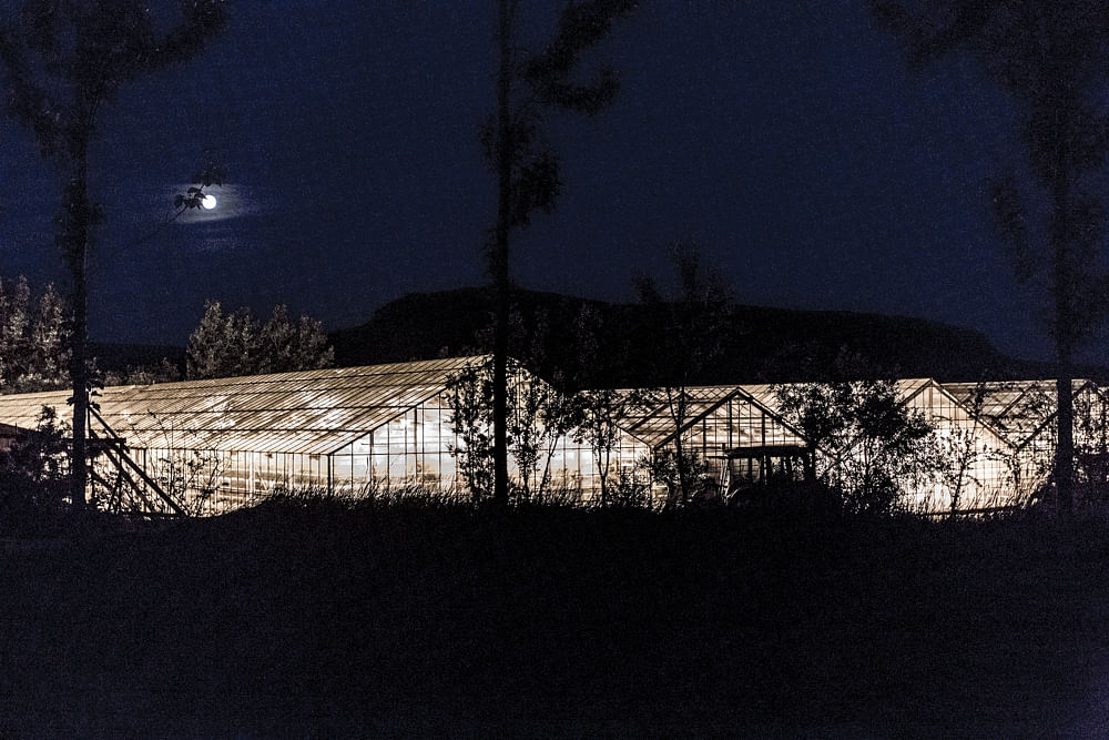 Gewächshäuser in Flu∂ir, Island