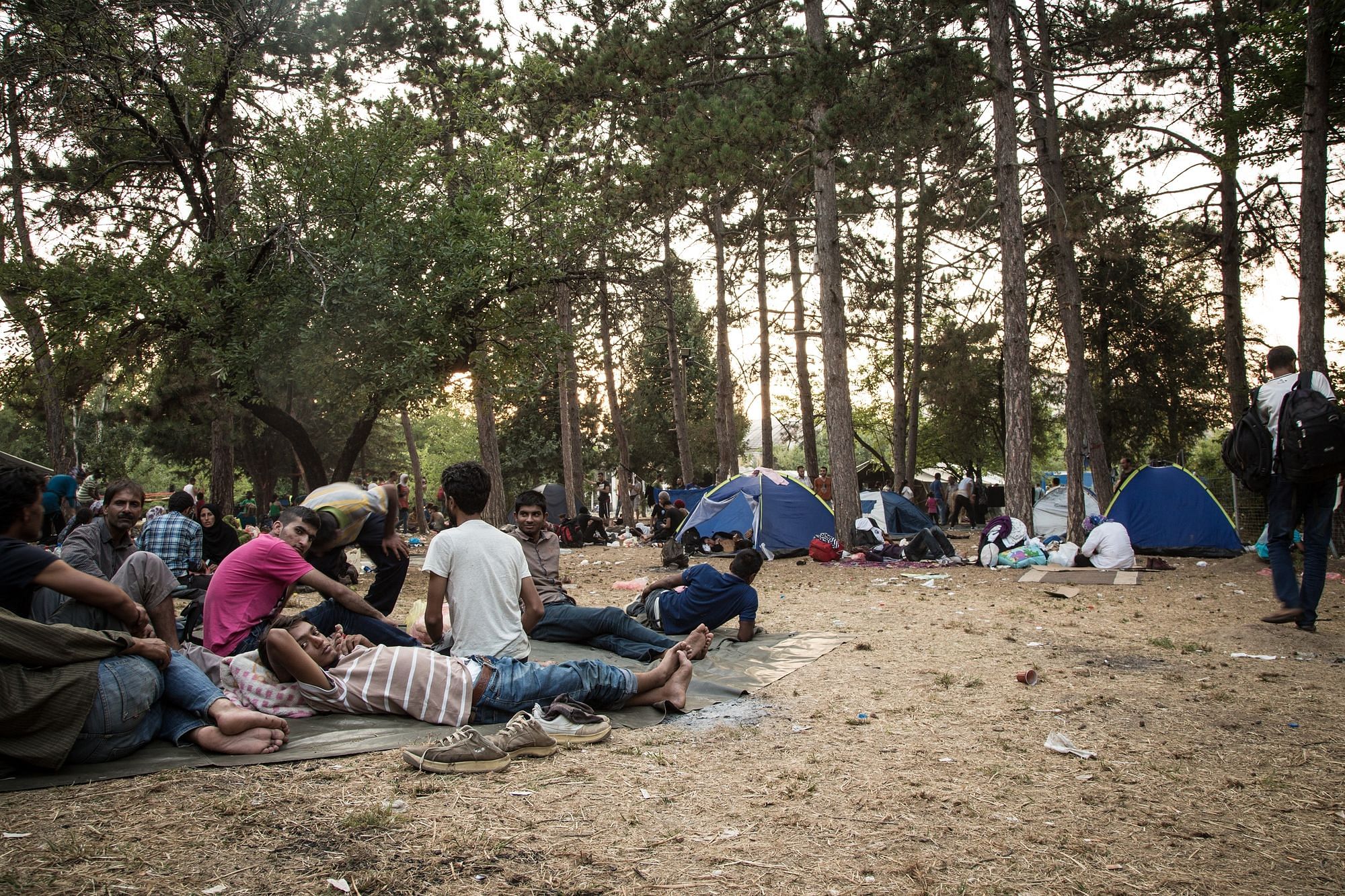 Nach der Ankunft in Serbien müssen sich die Flüchtlinge in Preševo registrieren. Die Behörden sind von der großen Zahl überfordert. Hilfsorganisationen wie das Rote Kreuz kümmern sich um die oft im Freien kampierenden Menschen. Fotos: cc Stephen Ryan / Internationales Rotes Kreuz