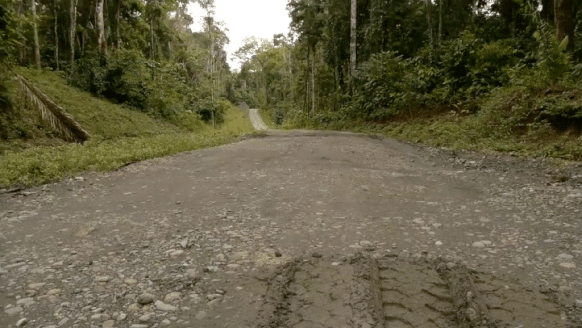 Die Zufahrtsstraße im Amazonas-Gebiet.
