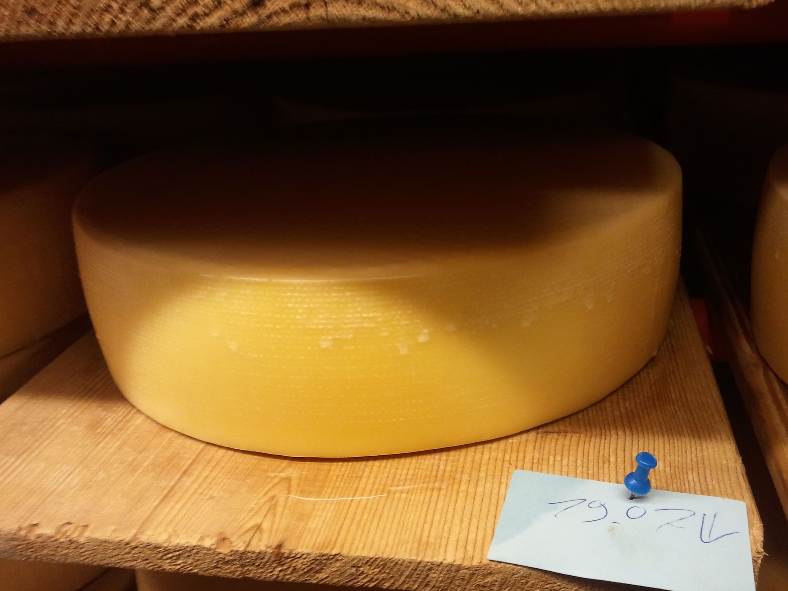 Lecker Biokäse, zehn Tage alt
