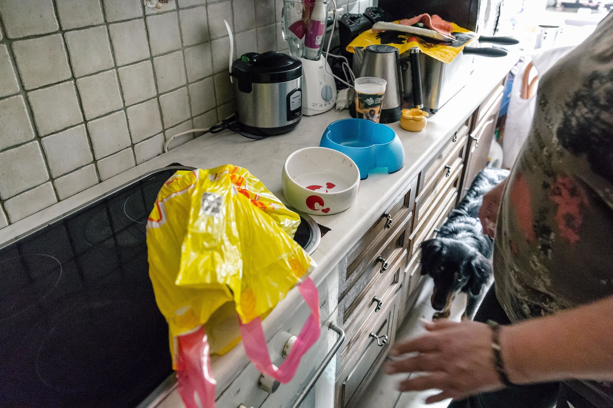 Viele Menschen können das Futter für ihre Haustiere nicht mehr selbst bezahlen. Dann hilft die Tiertafel weiter.