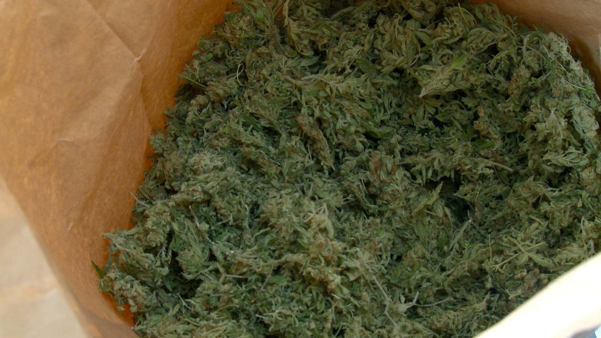 Verpackt in Papiersäcke, werden die getrockneten Cannabisblüten von Österreich nach Deutschland exportiert. Das könnte sich ändern.
