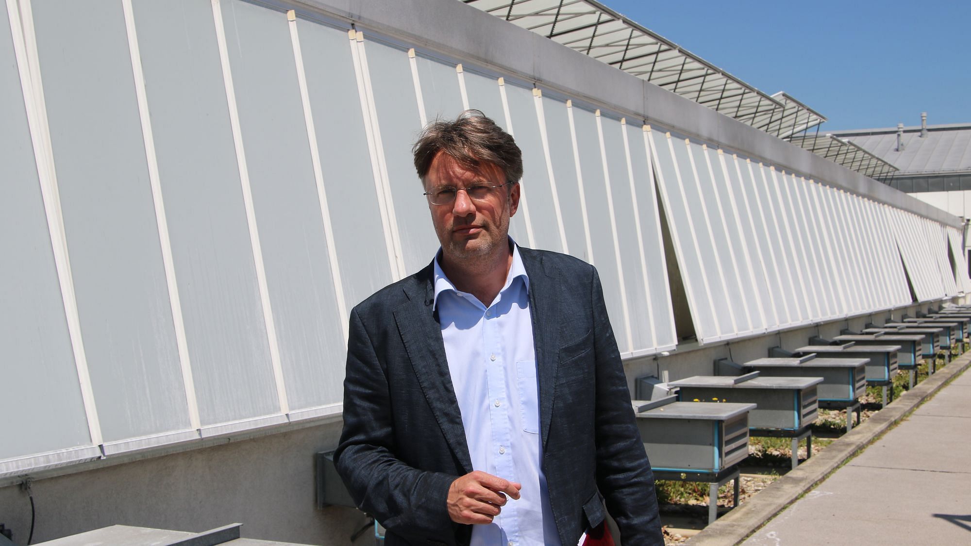 In diesem Gewächshaus baut Versuchsleiter Bernhard Föger Cannabis an, das die Schmerzen Tausender Patienten lindert.